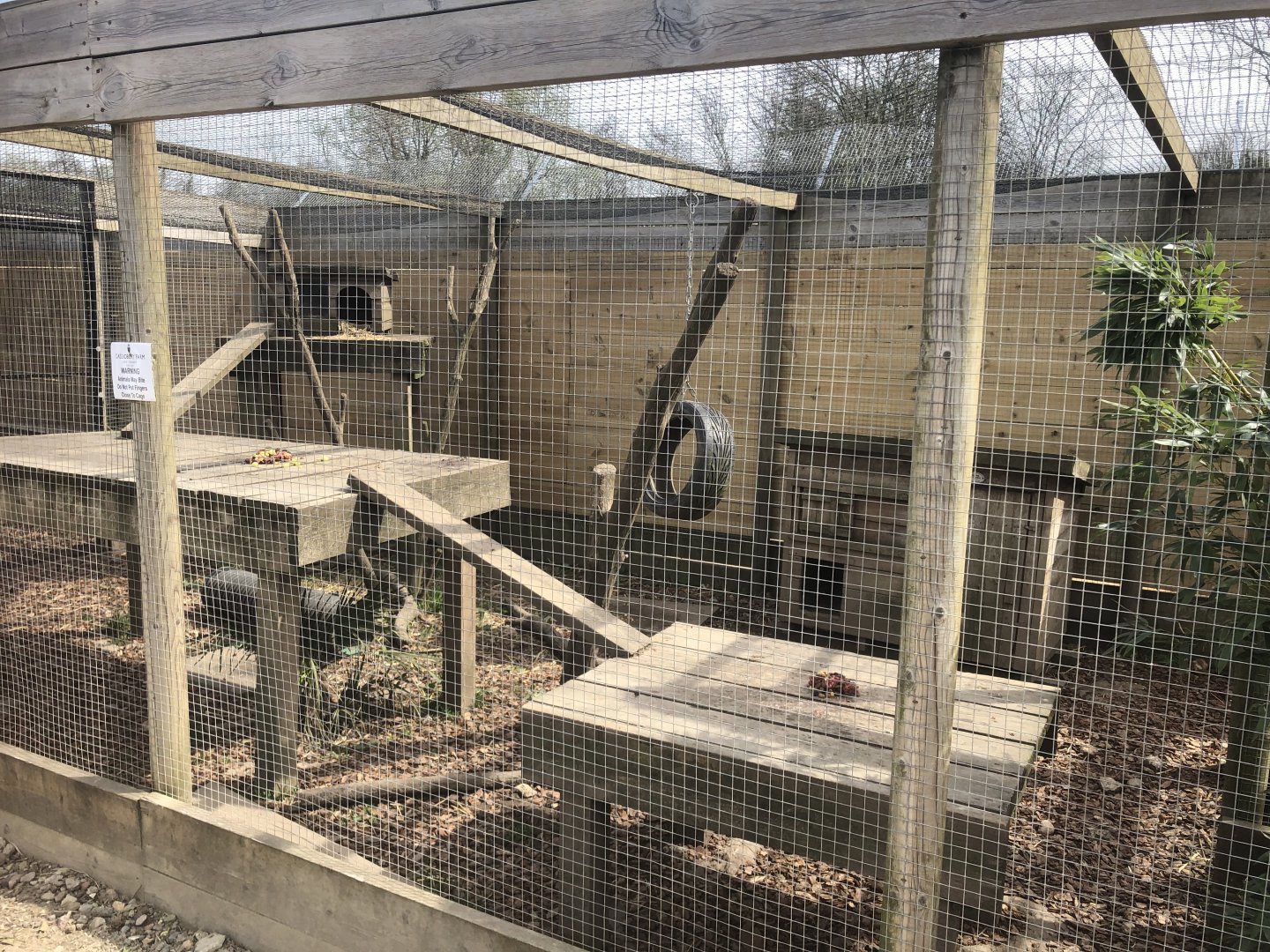 Striped Skunk and Racoon Enclosure