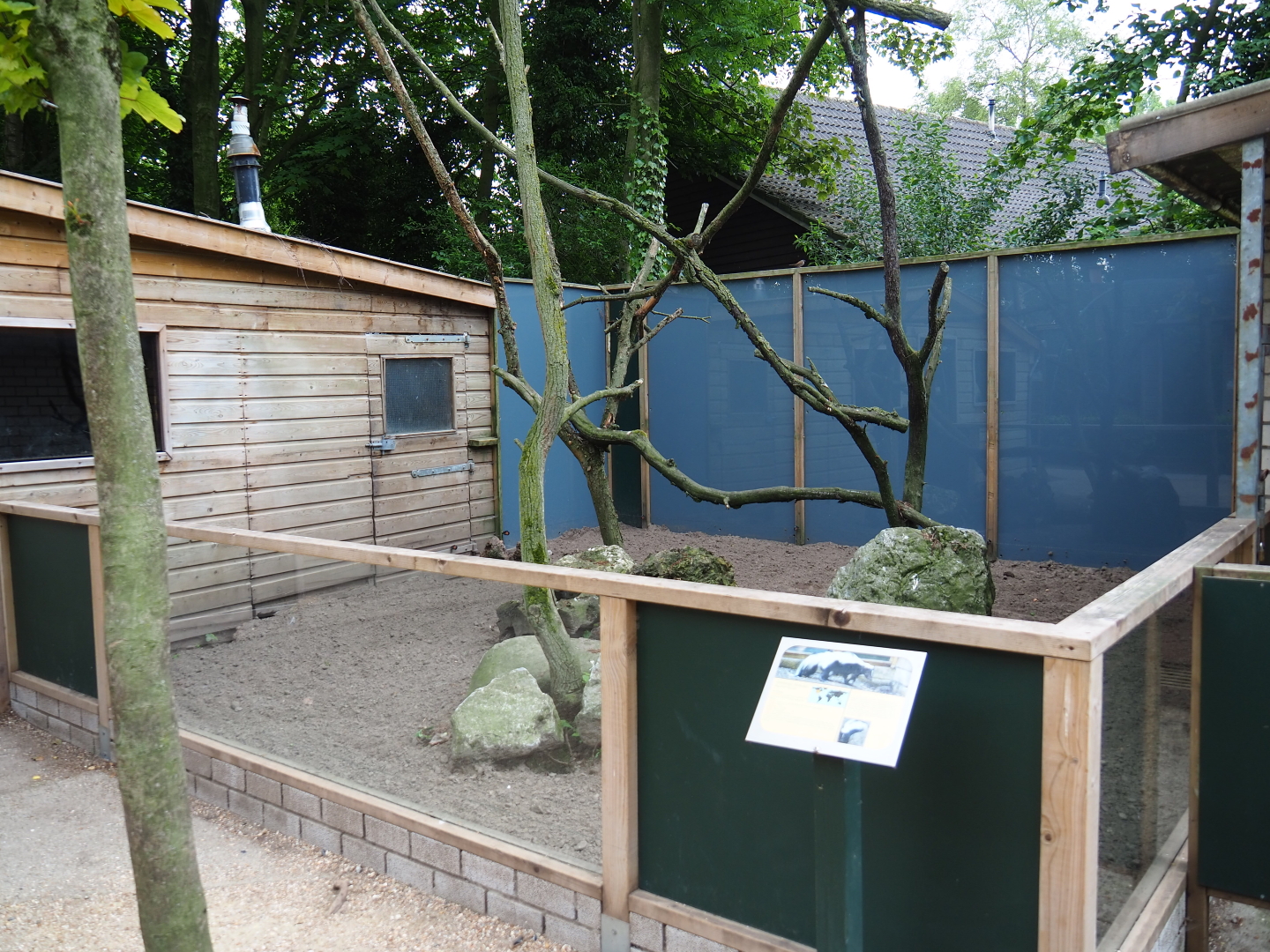 Striped skunk (and Southern tamandua?) exhibit, 2019-05-25