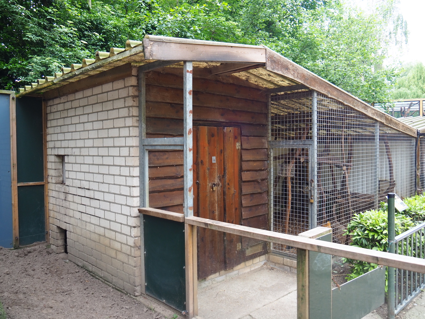 Striped skunk barn and Northern yellow-throated marten cage, 2019-05-25