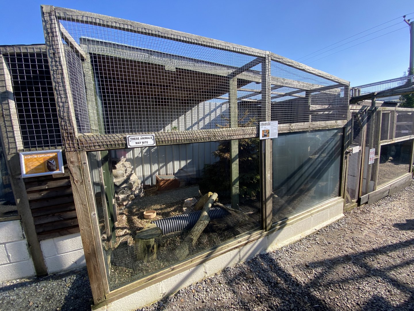 Striped skunk enclosure 020325