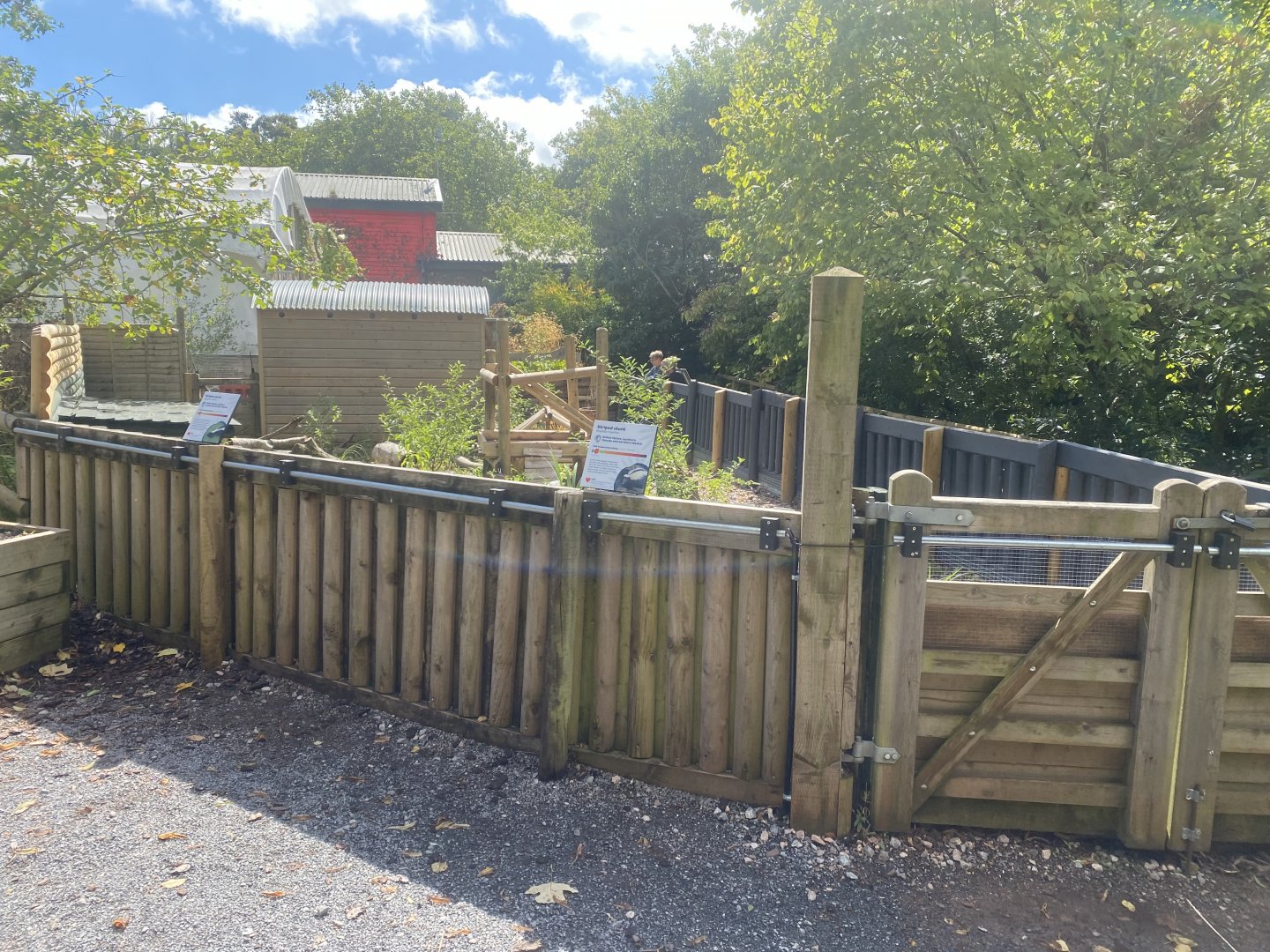 Striped skunk enclosure 030925