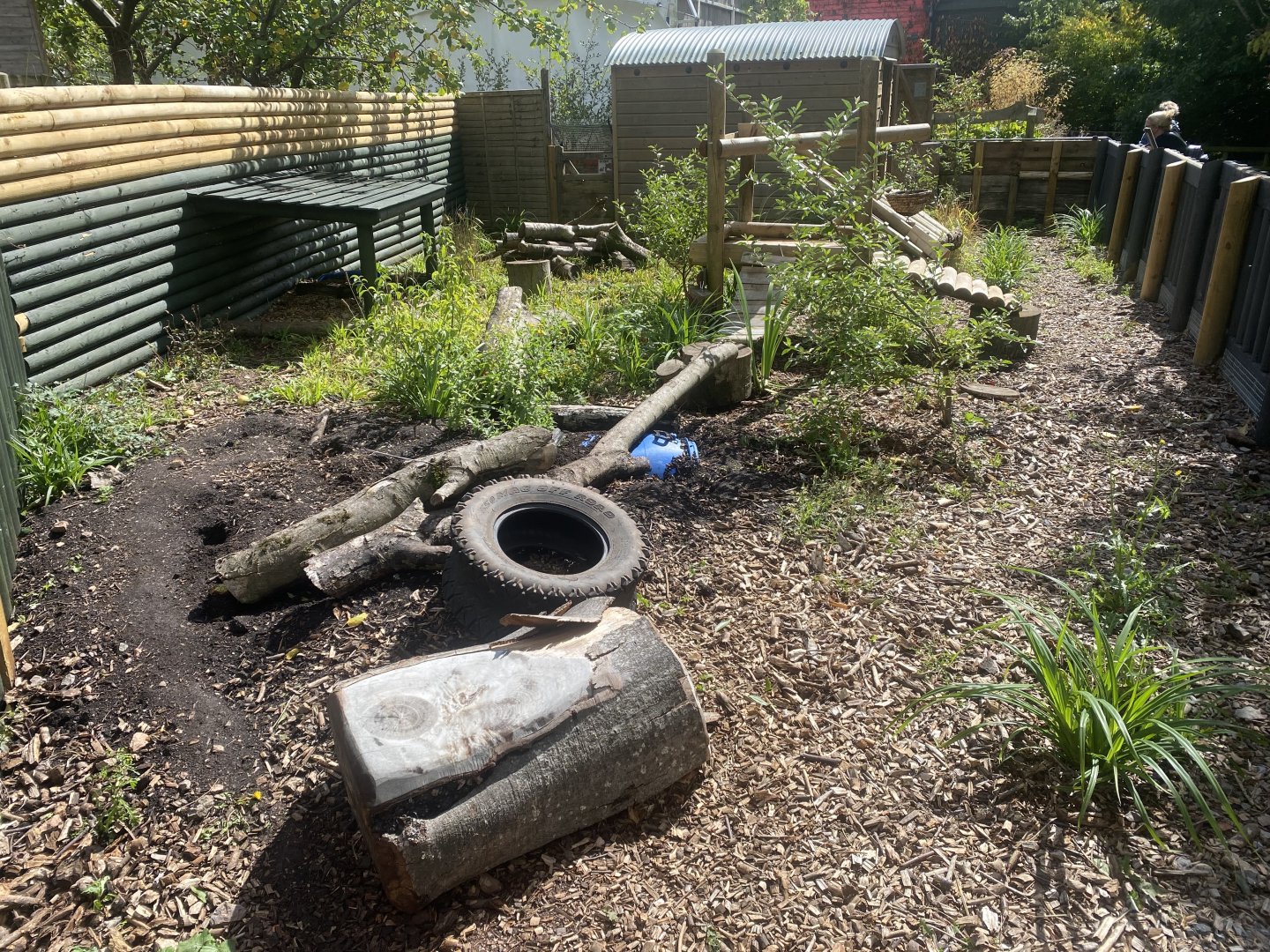 Striped skunk enclosure 030925