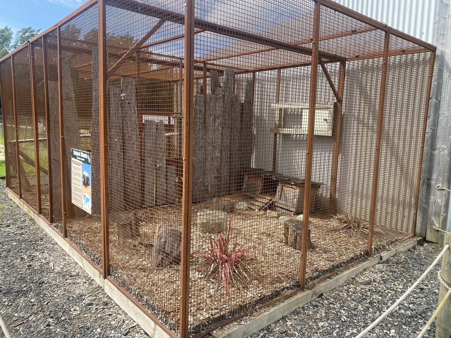 Striped skunk enclosure 150723