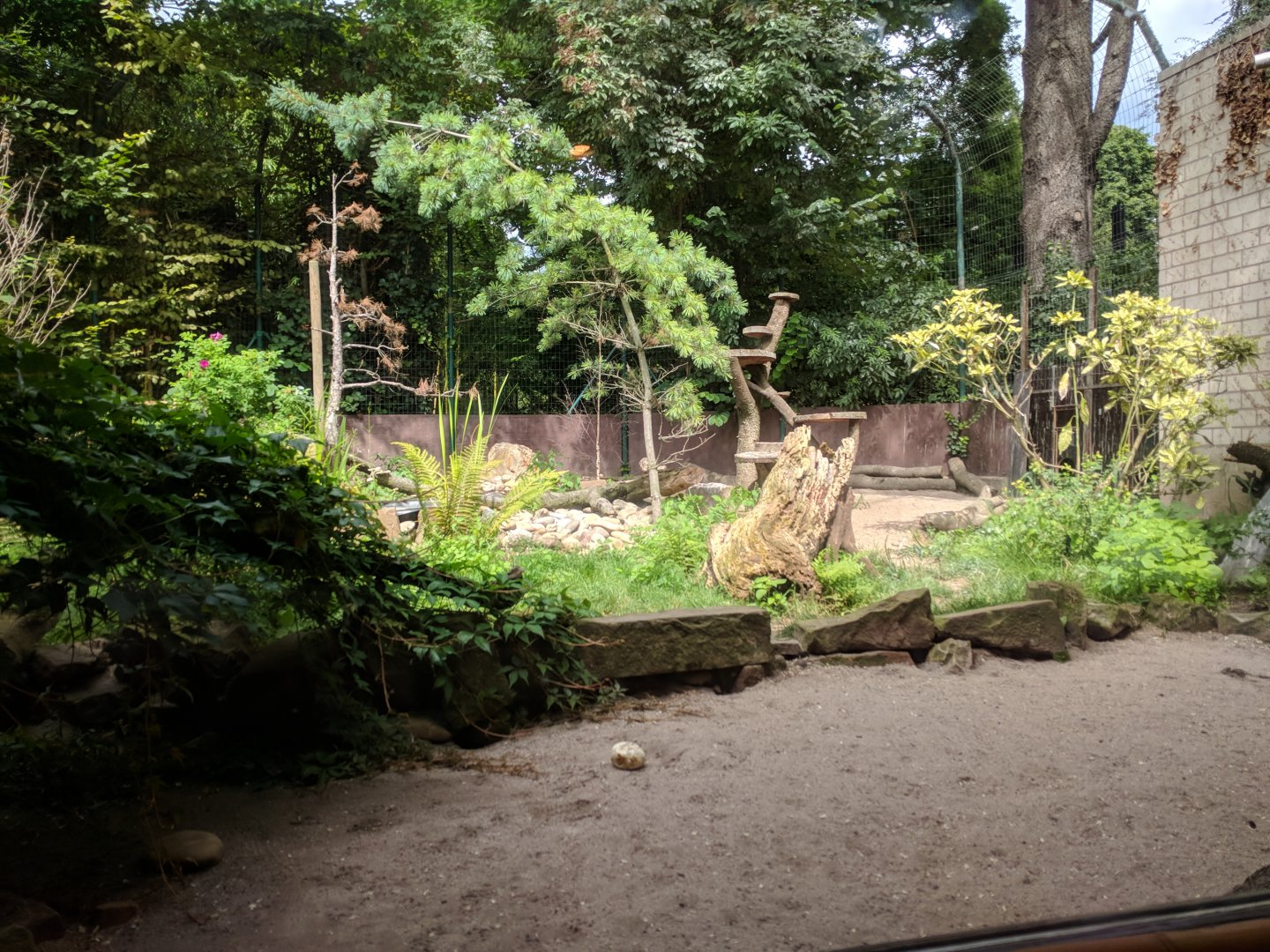 Striped Skunk Enclosure