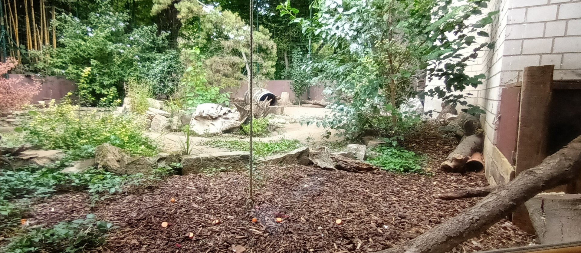 Striped Skunk Enclosure