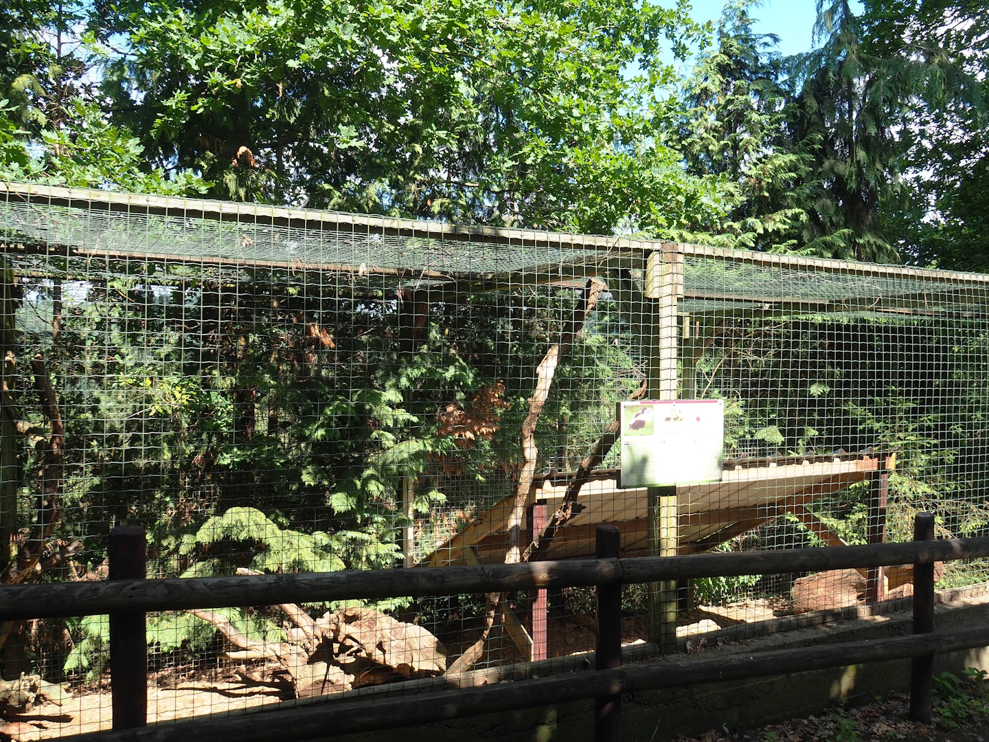 Striped skunk exhibit, 2023-06-24