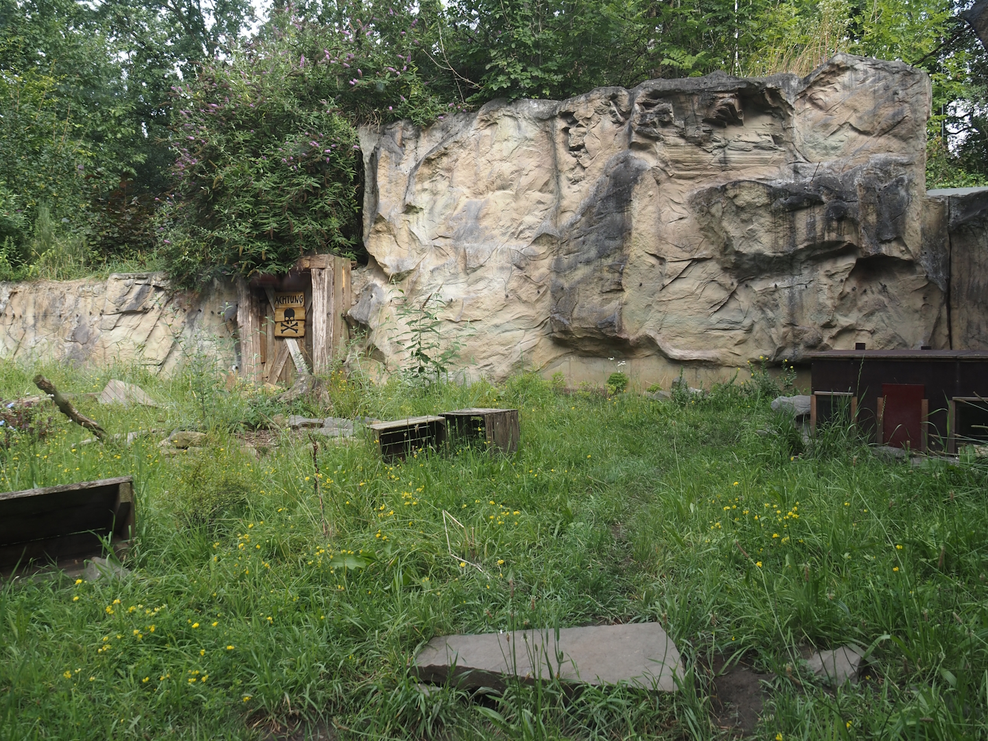 Striped skunk exhibit, 2024-08-05