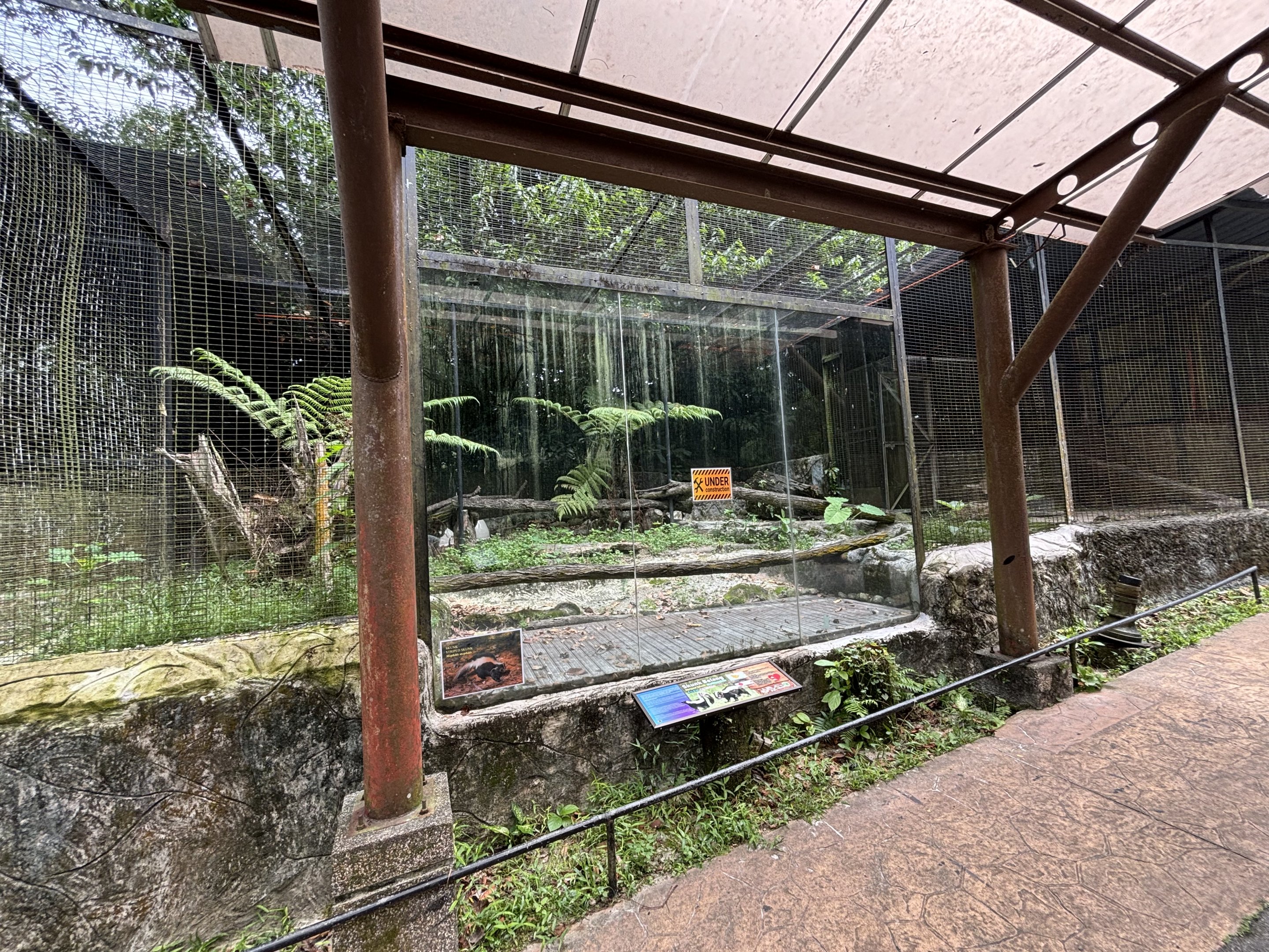 Striped Skunk Exhibit - currently empty