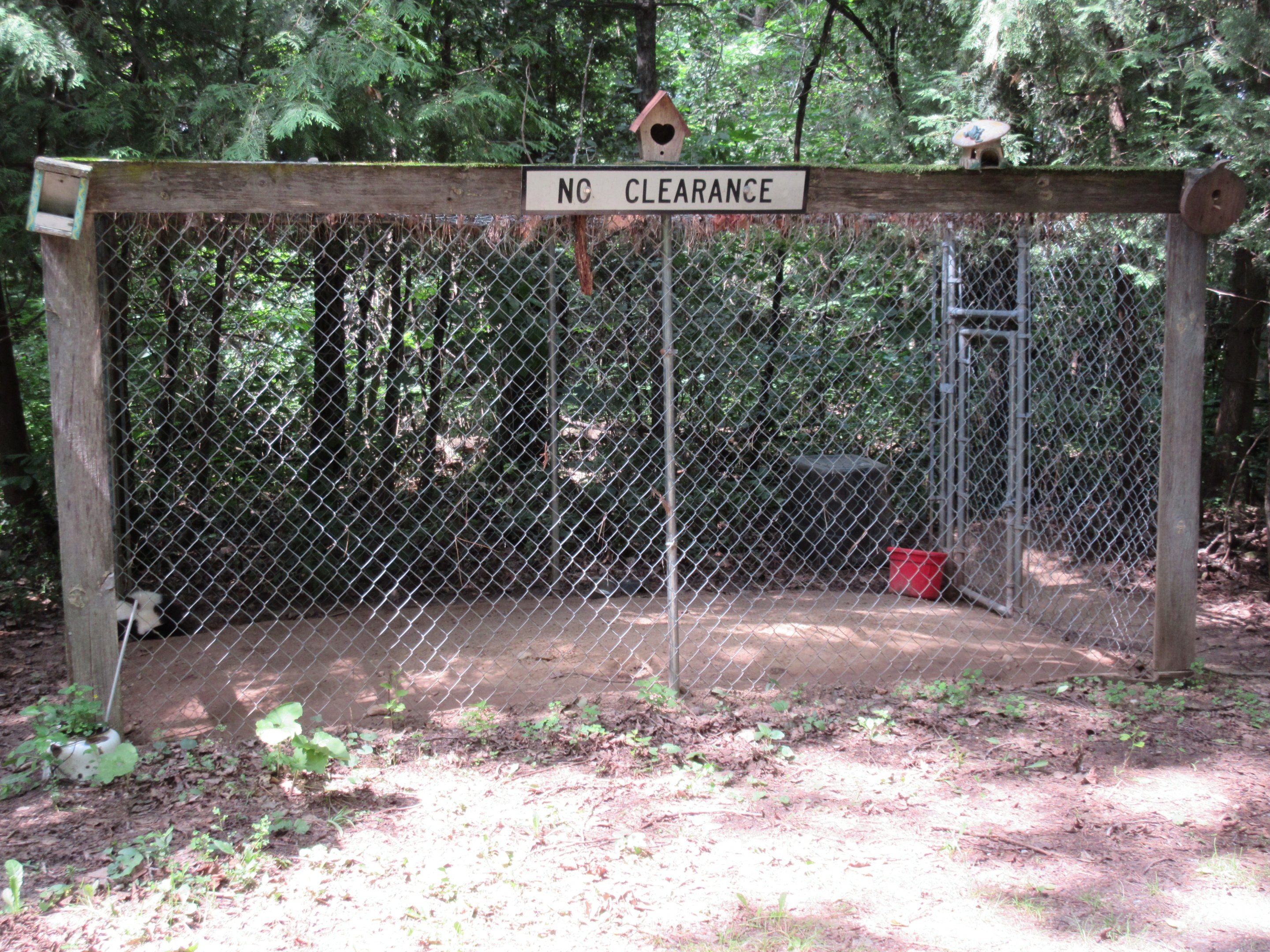 Striped Skunk Exhibit (totally barren)