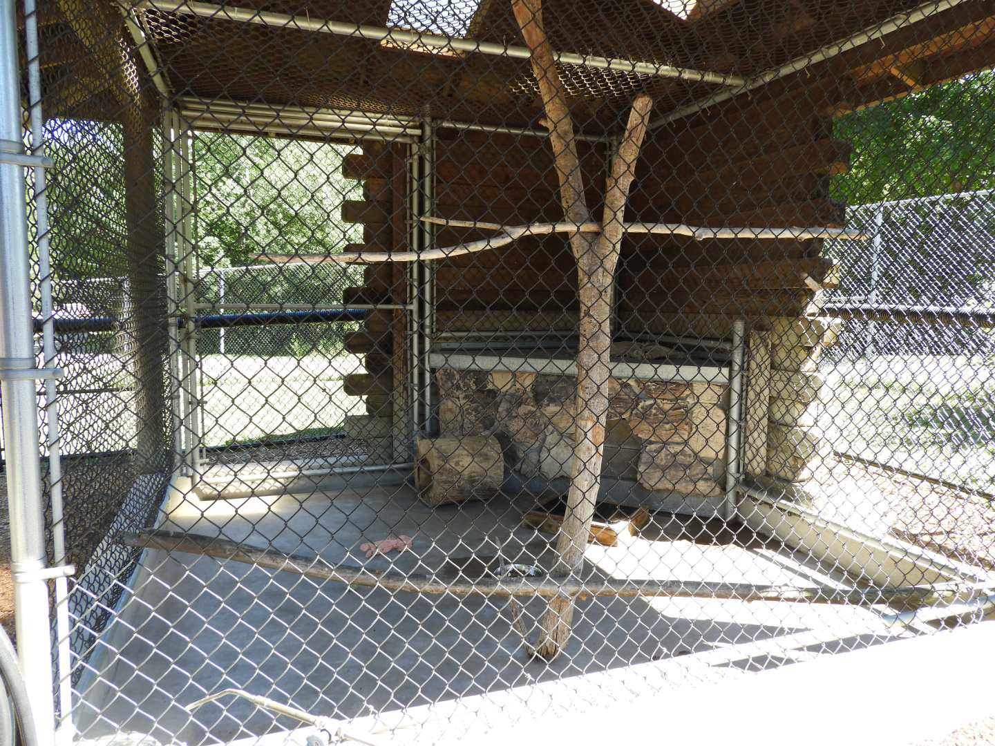 Striped Skunk exhibit - Wisconsin Rapids Municipal Zoo