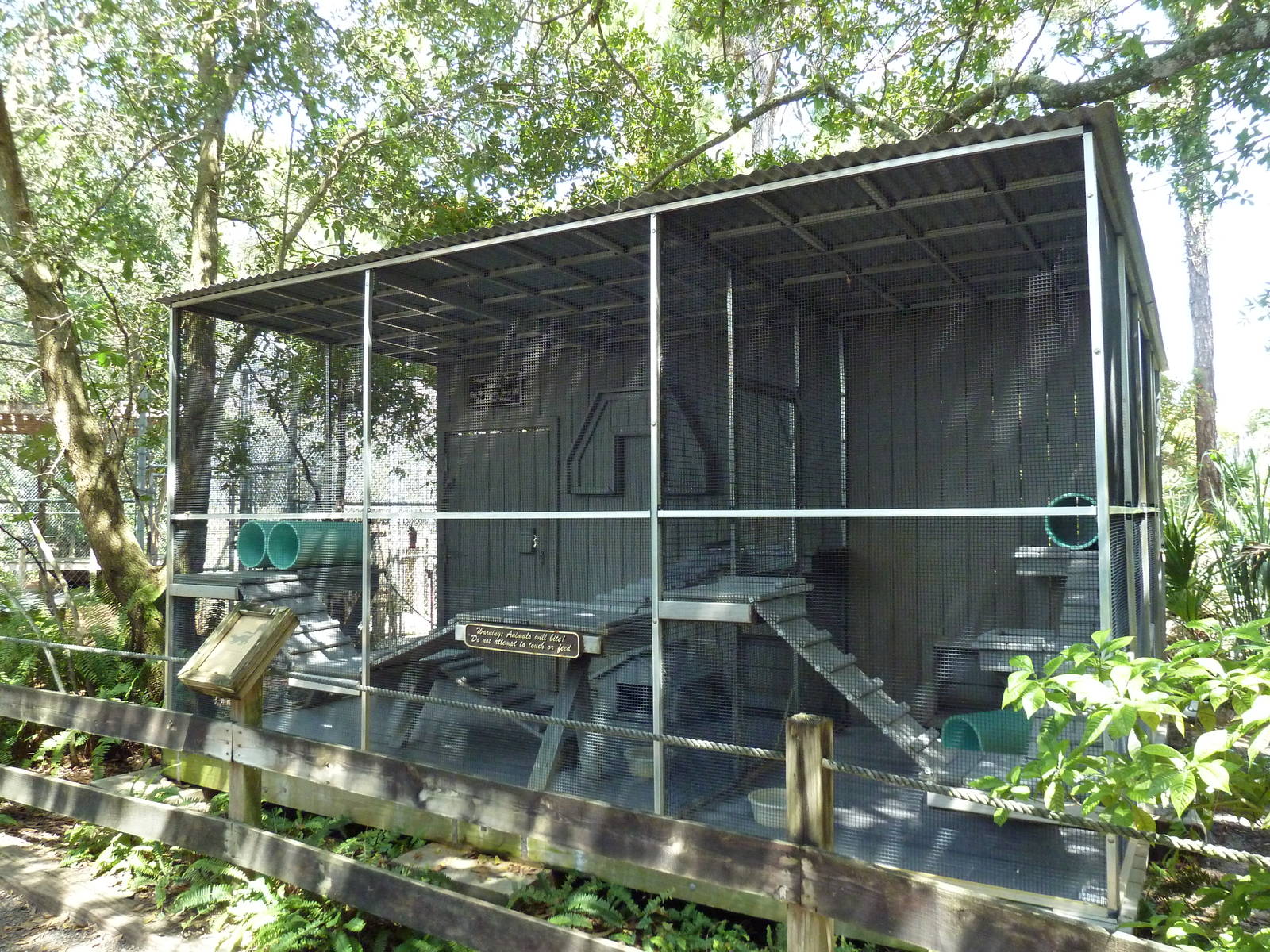 Striped Skunk Exhibit