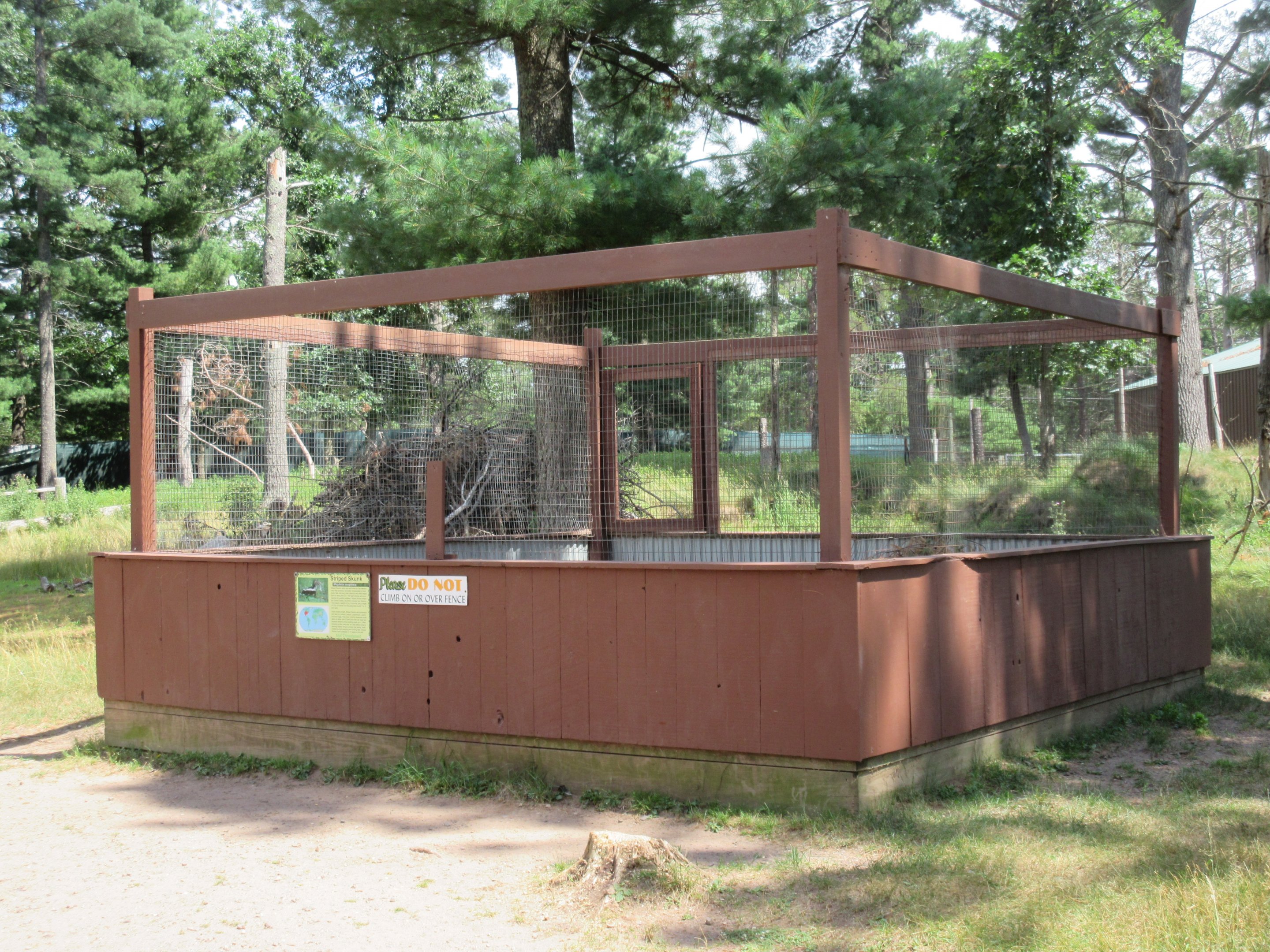 Striped Skunk Exhibit