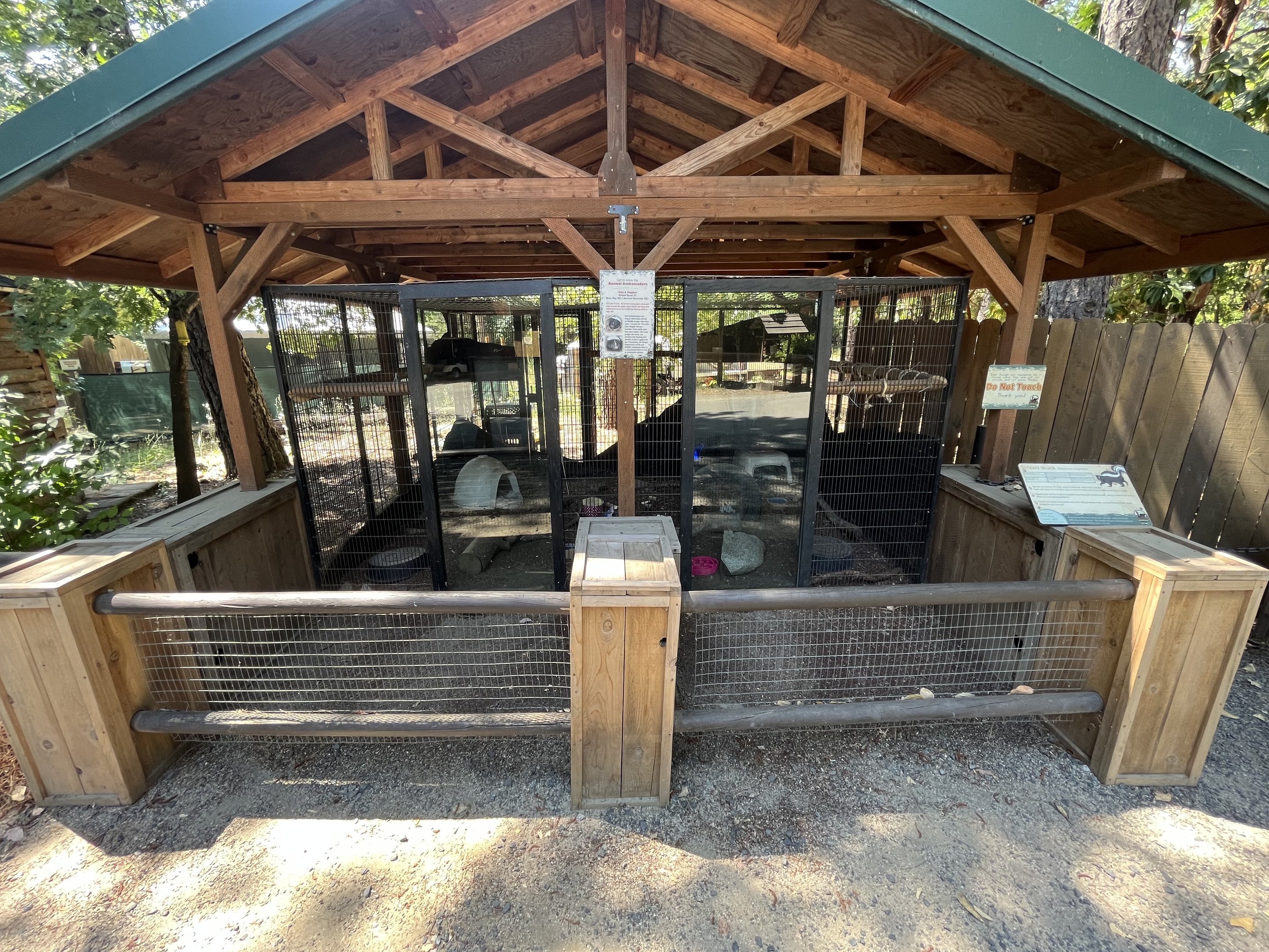 Striped Skunk Exhibit