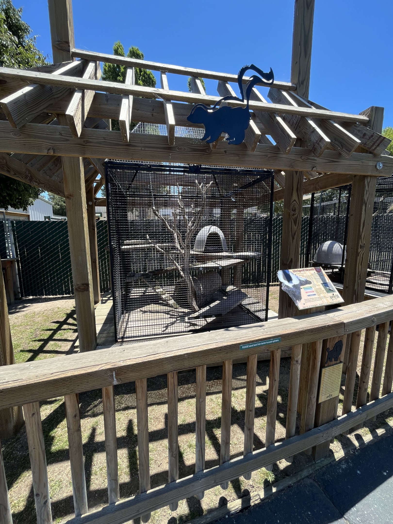 Striped Skunk Exhibit
