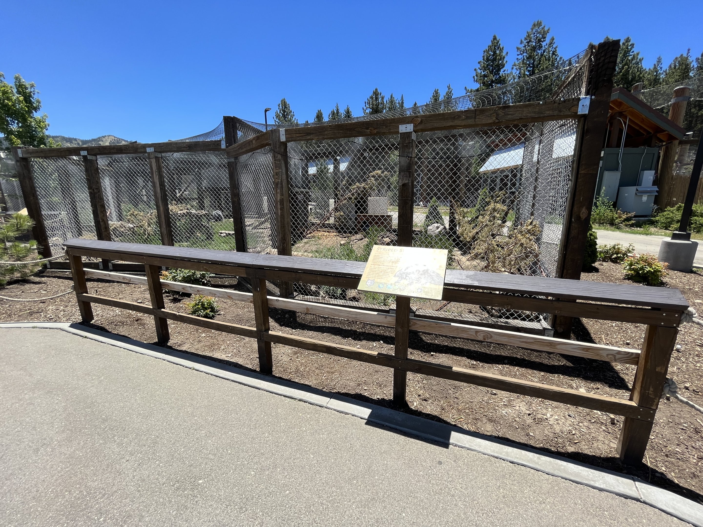 Striped Skunk Exhibit