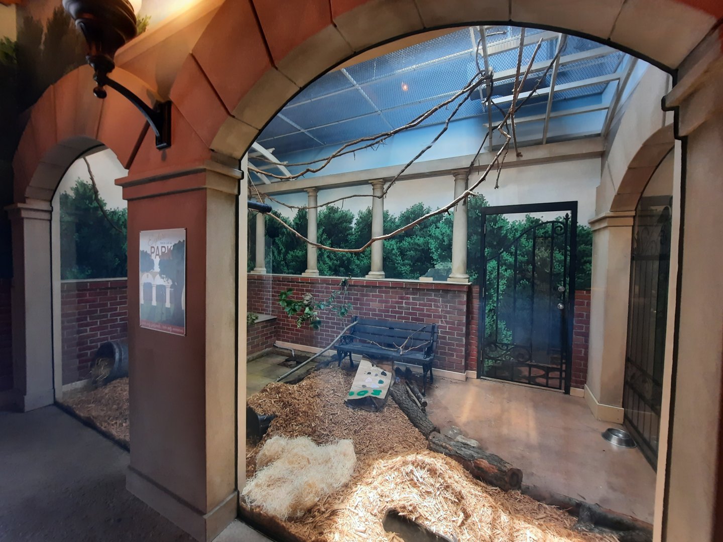 Striped Skunk Exhibit