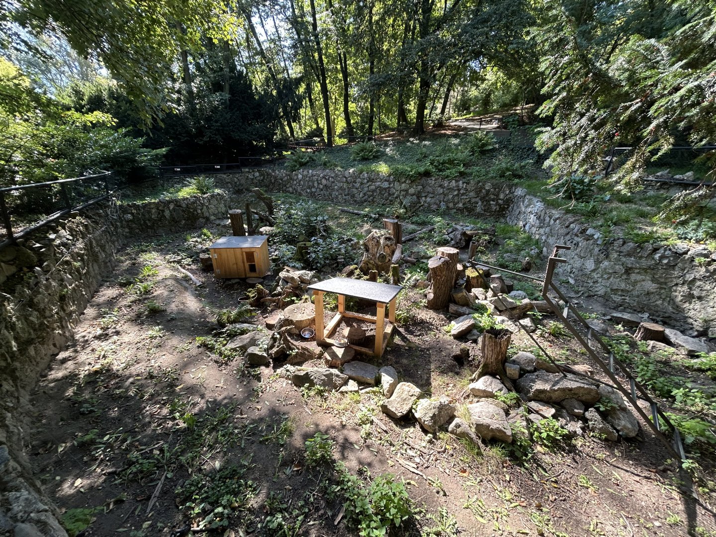 Striped Skunk Exhibit