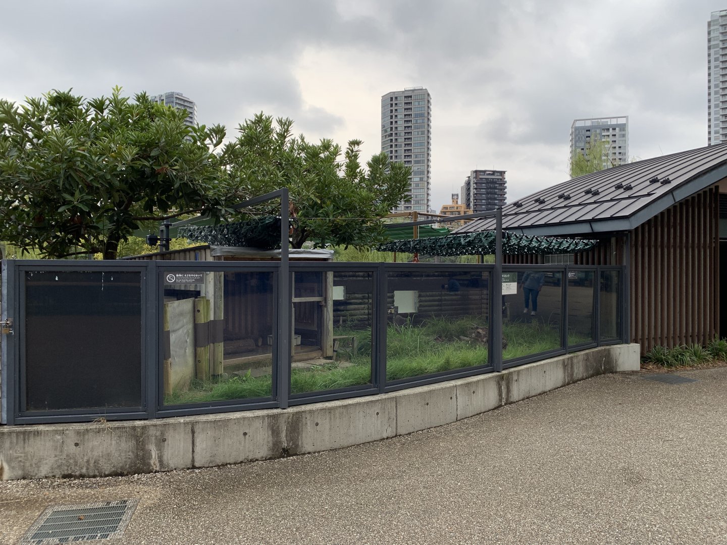 Striped Skunk Exhibit