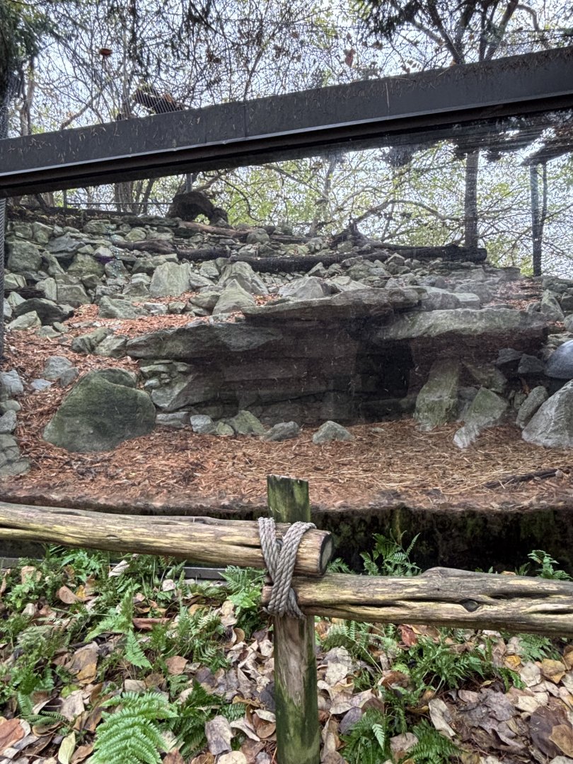 Striped Skunk Habitat