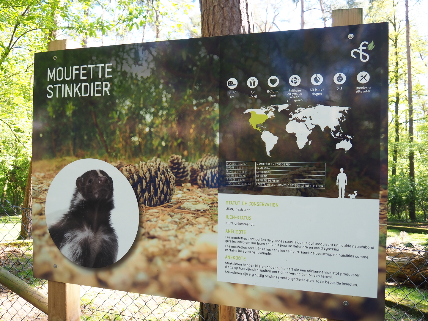 Striped skunk signage, 2021-05-29