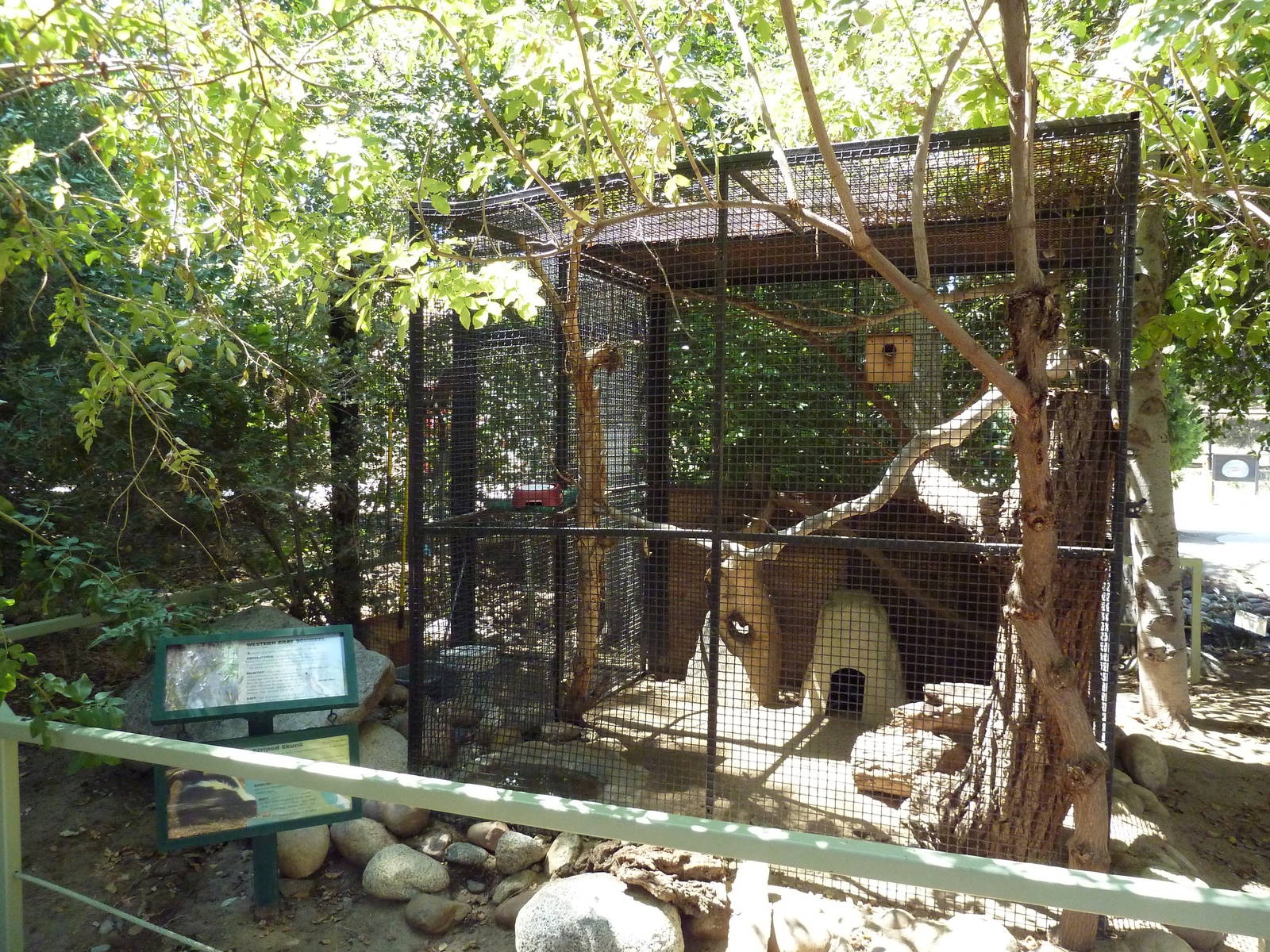 Striped Skunk/Western Gray Squirrel Exhibit