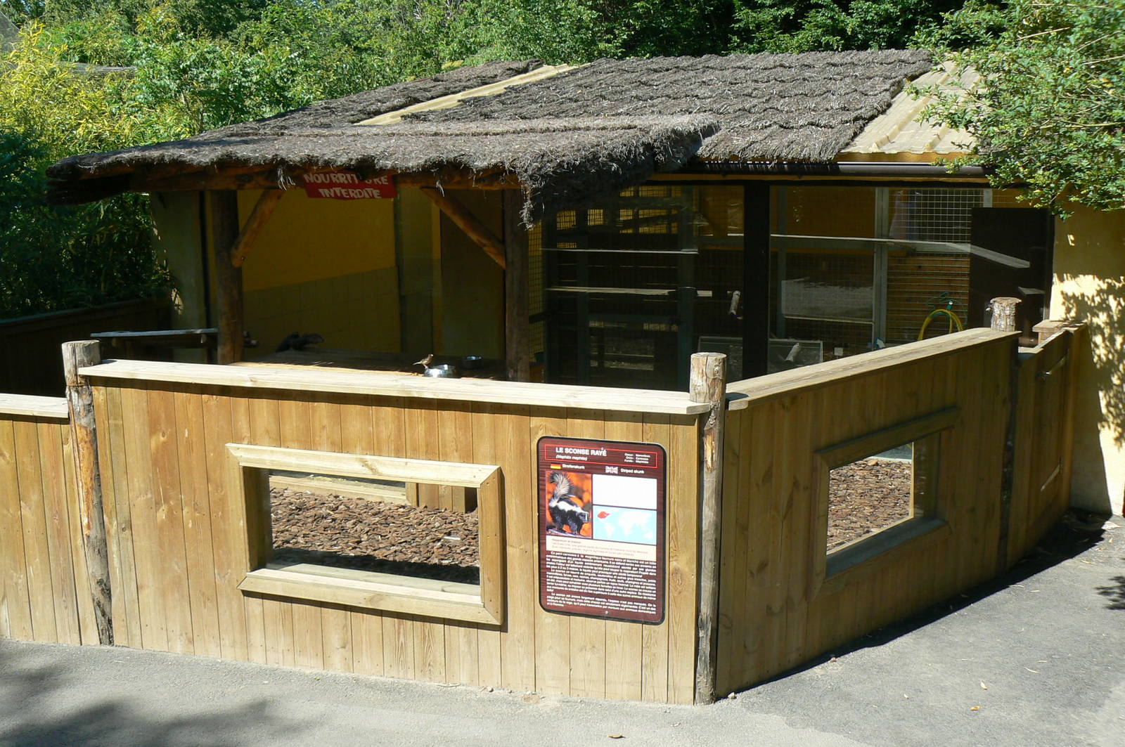 Striped skunks exhibit