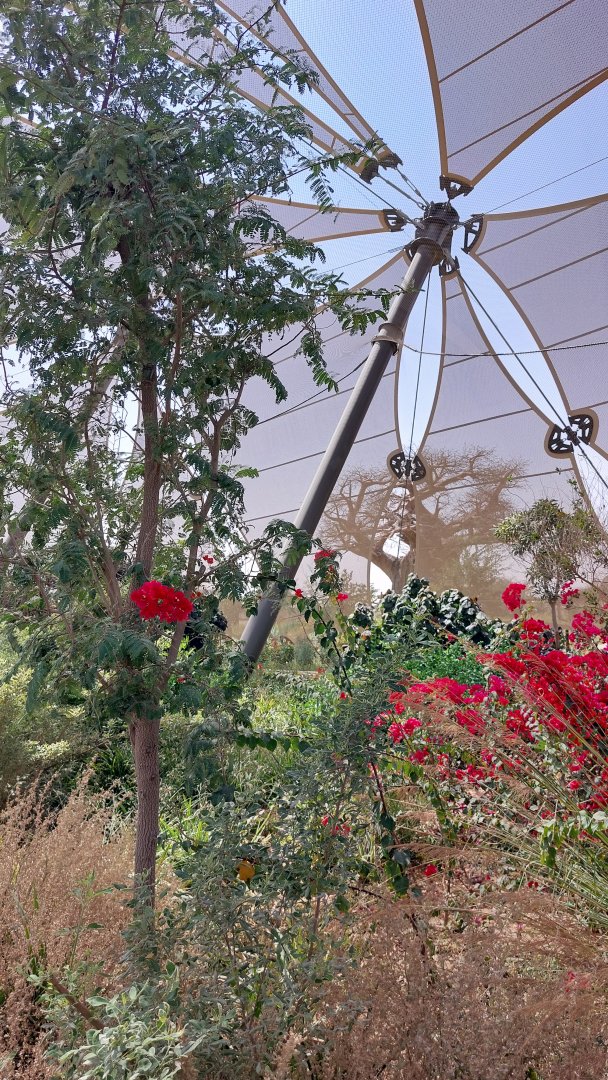 Structural column of the aviary