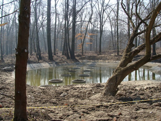 Structure of new paddocks