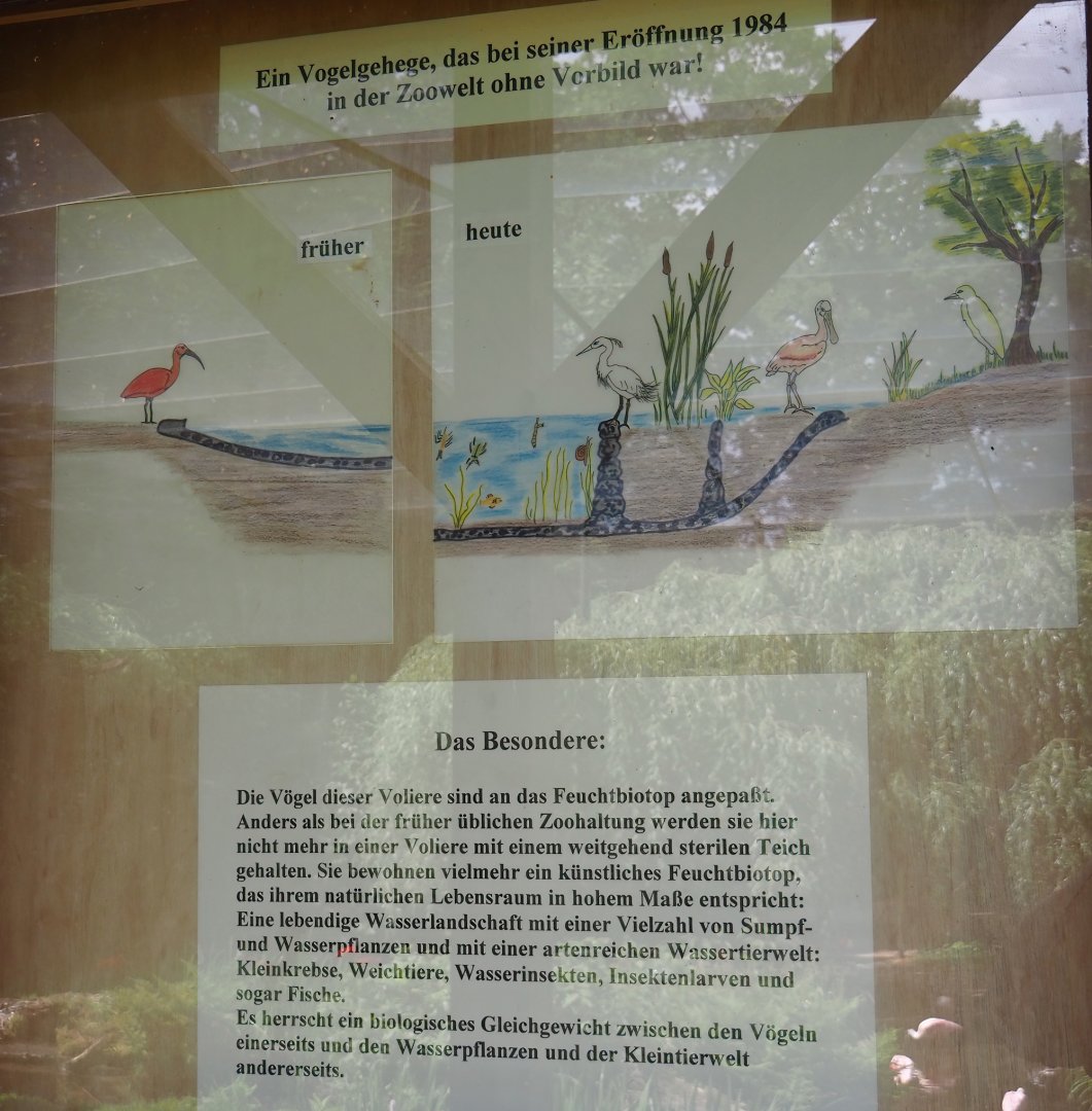Structure of the pond in the large wetland walk-through aviary signage, 2025-05-22