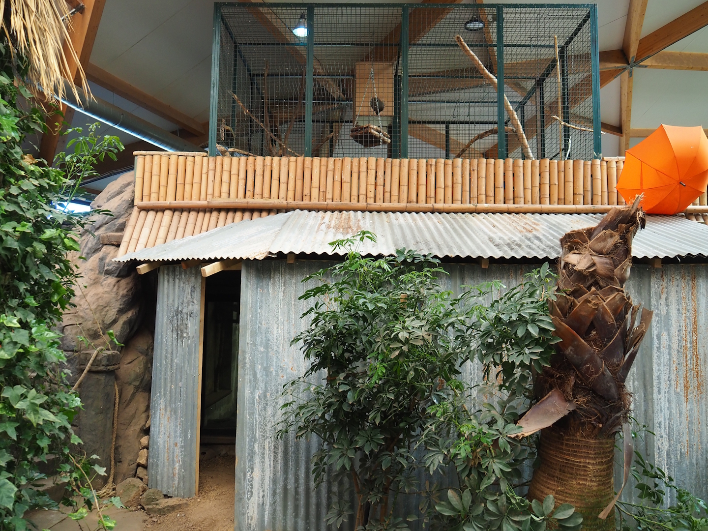 Structure with Western woylie and Brushtail possum exhibit, with closed-off parrot aviary above it, 2023-05-19