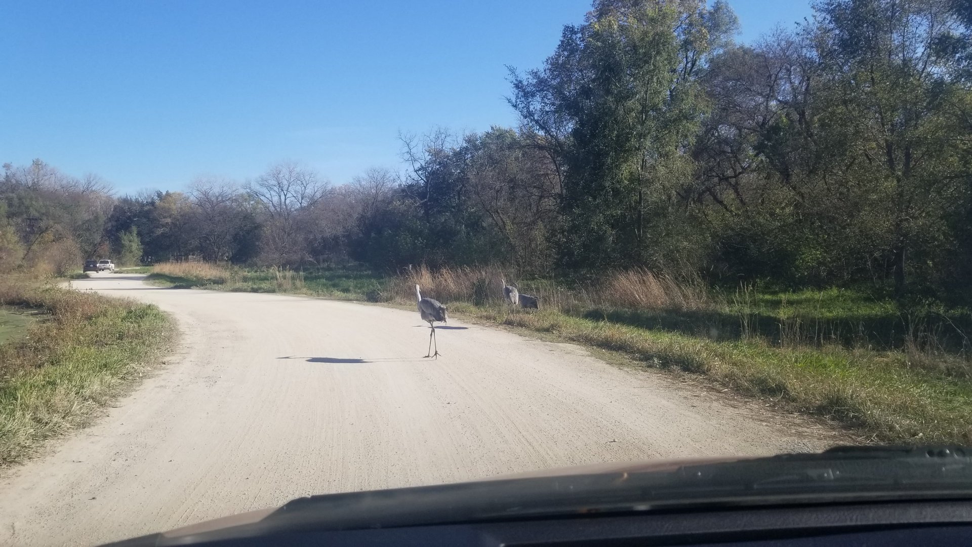 Stuck behind a sandhill on my drive back out