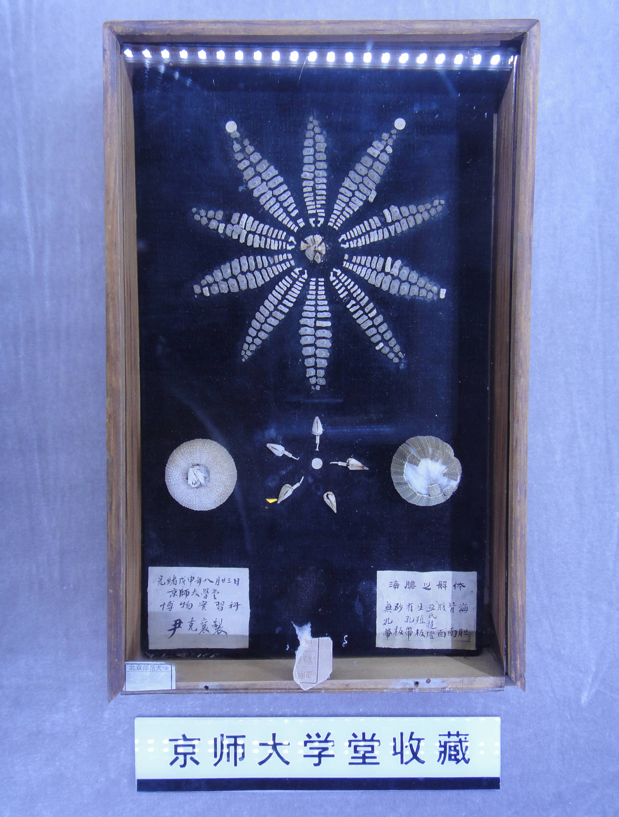 student work in 1908 (Qing Dynasty)