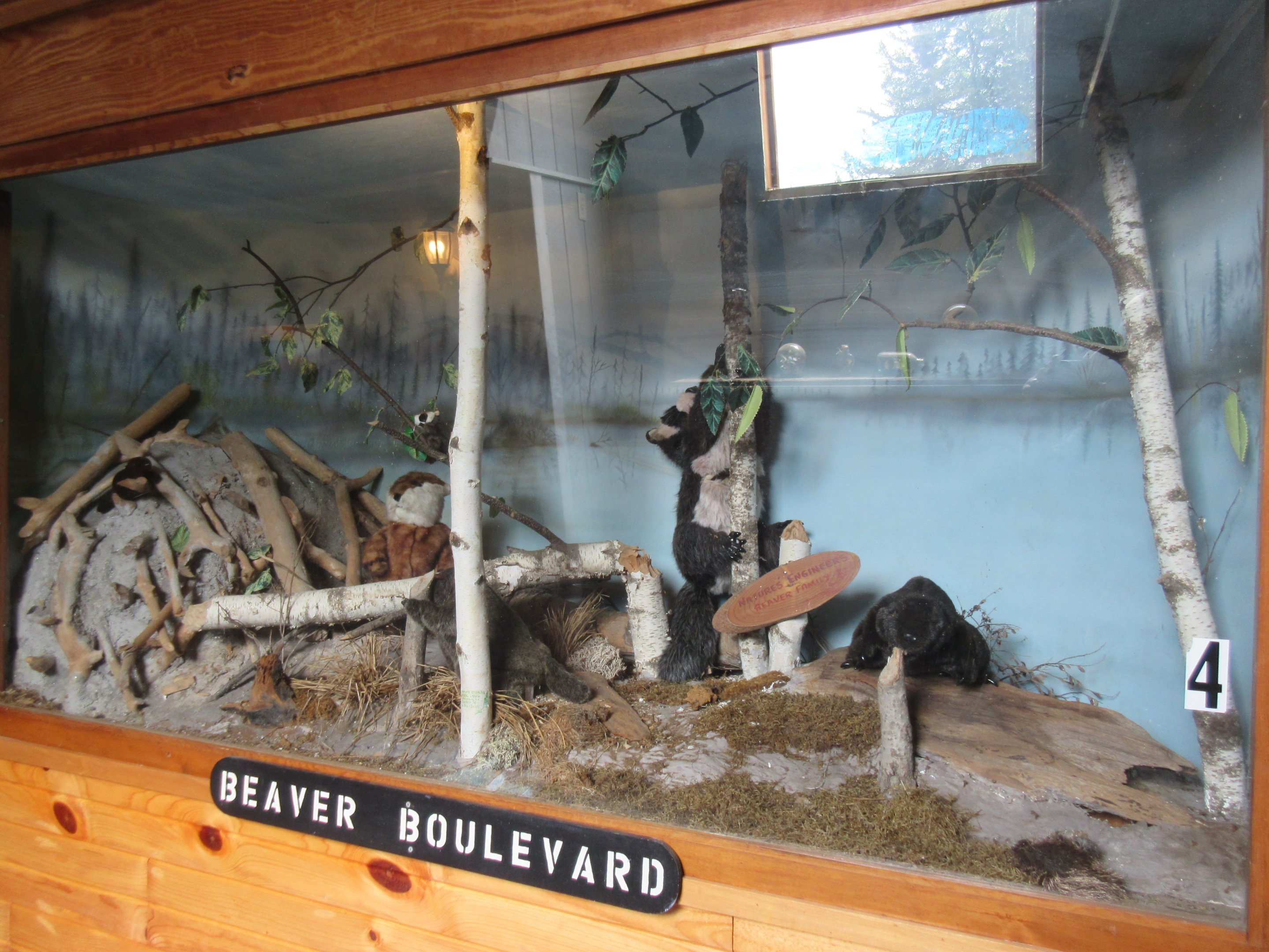 Stuff Beaver Display (insert Naked Gun joke here)