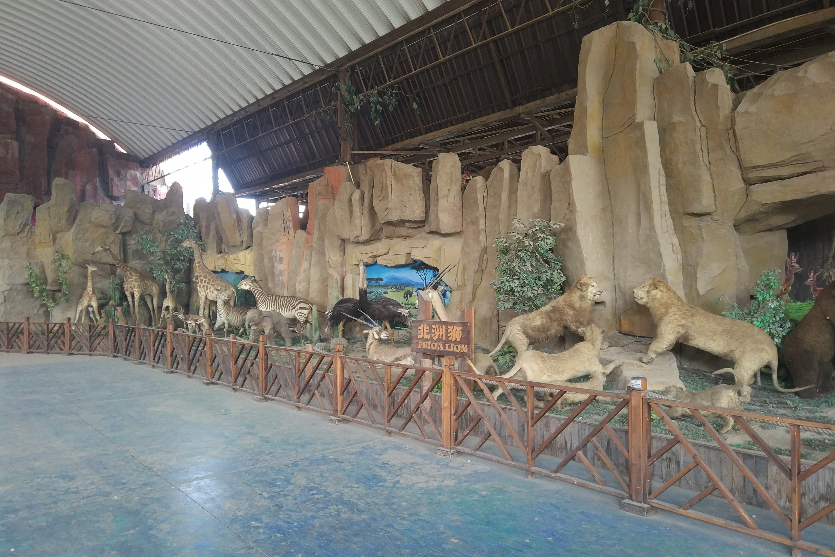 Stuffed Animal Display