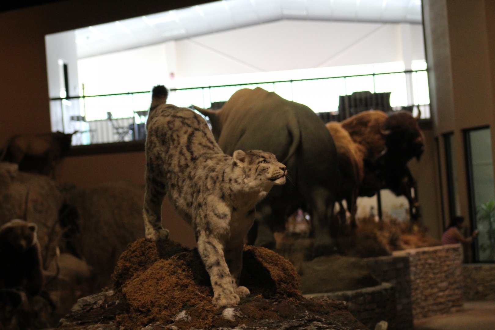 Stuffed Snow Leopard