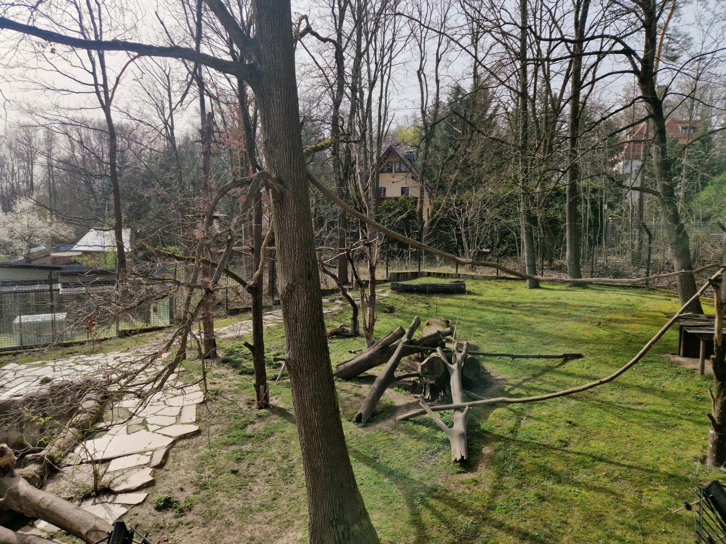 Stum-tailed Macaque Exhibit