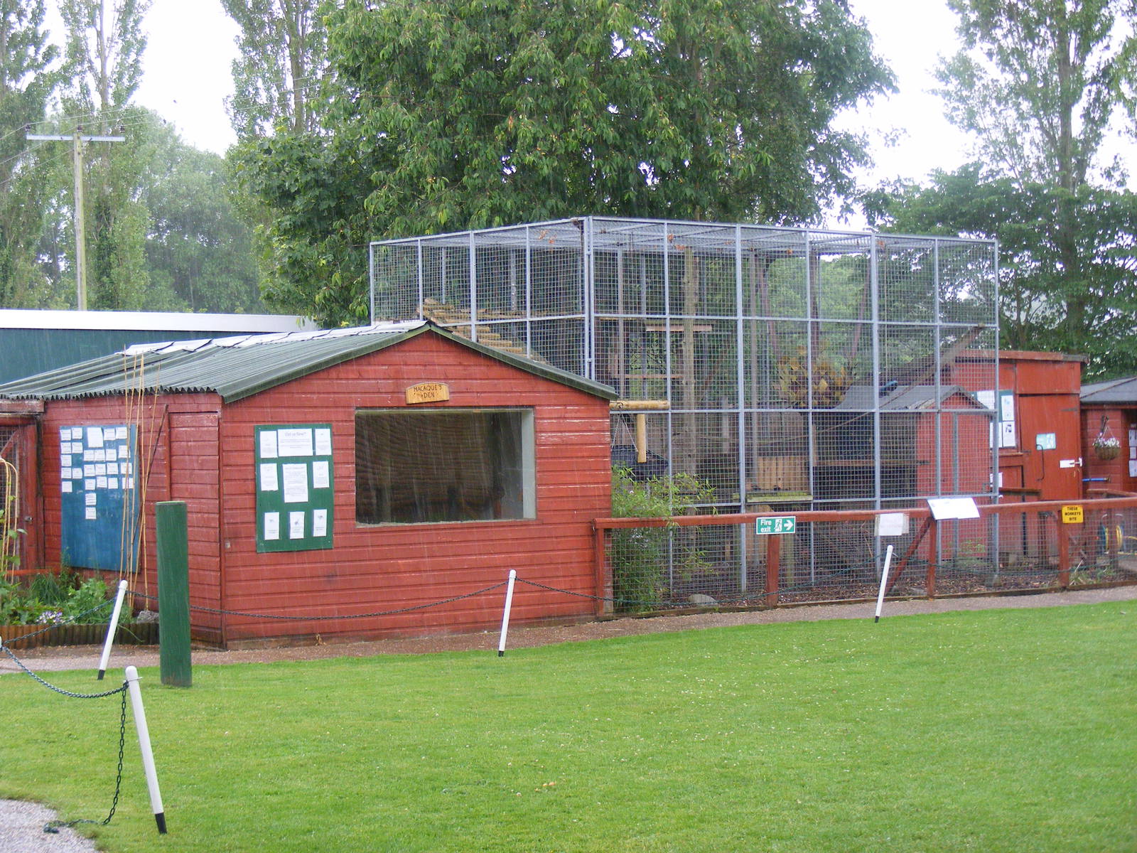 Stump-tailed macaque enclosure at Gentleshaw Wildlife Centre, 18 June 2011