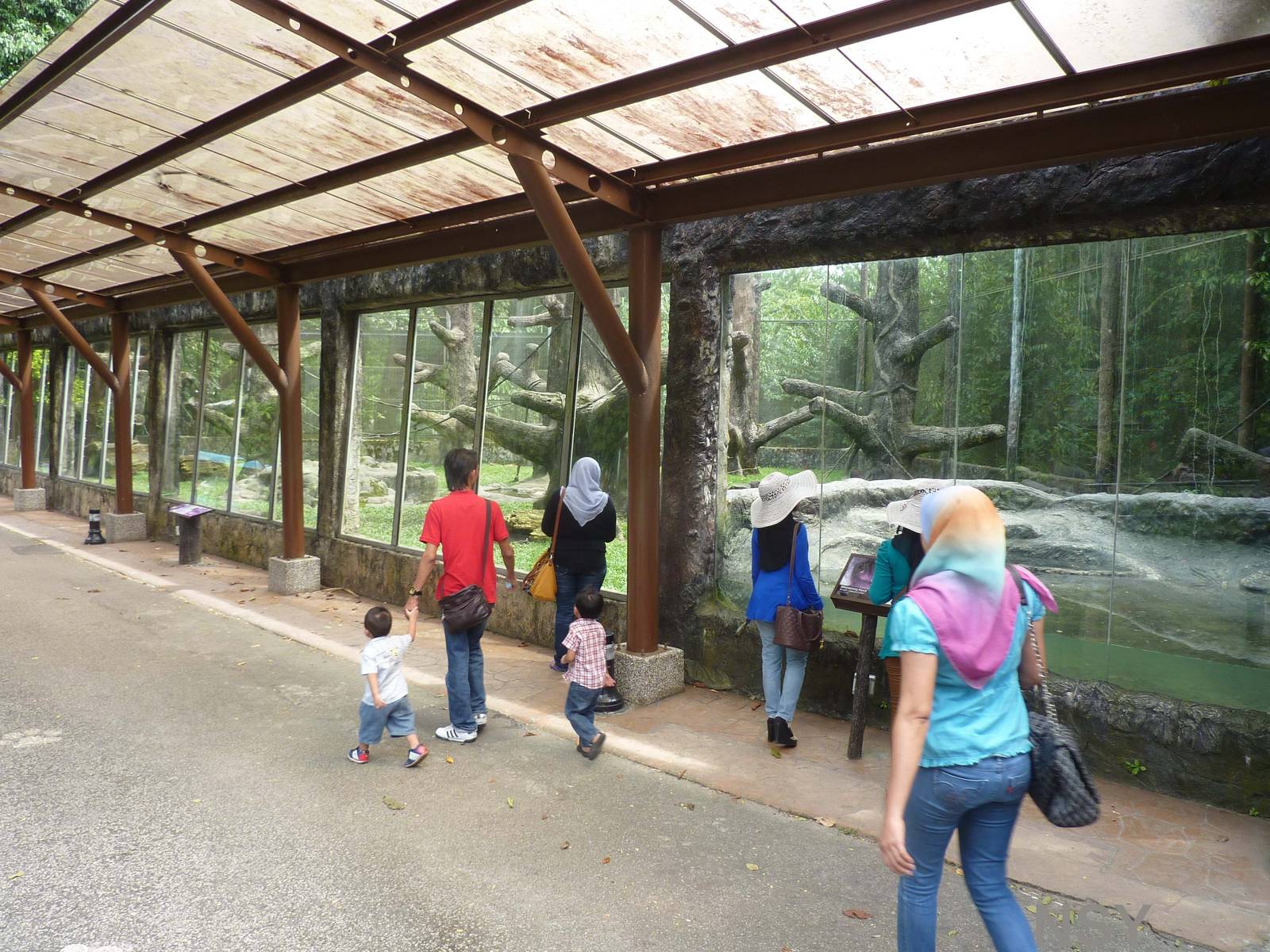 Stump-tailed macaque enclosure, May 2013