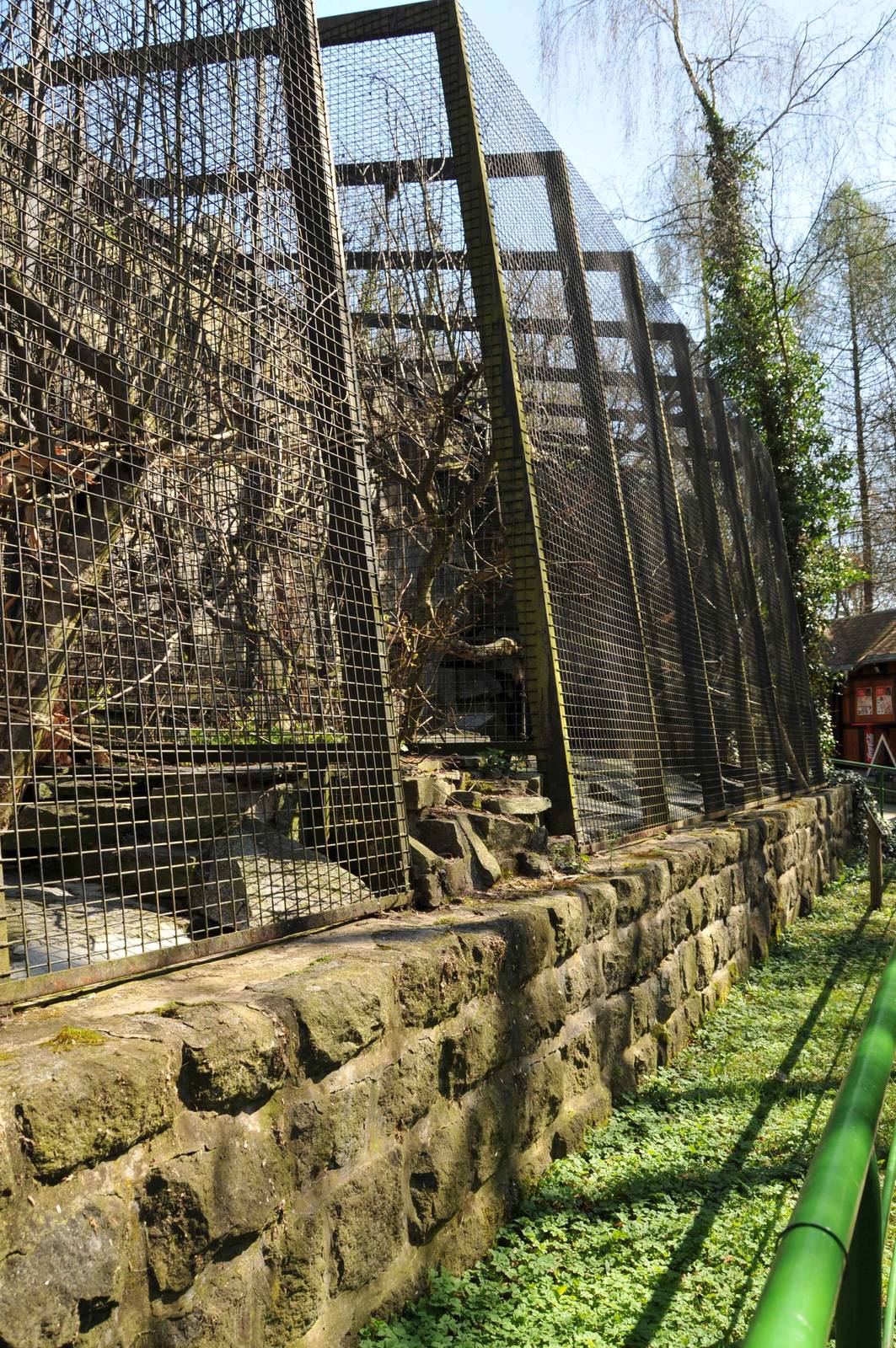 Stump-tailed macaque enclosure