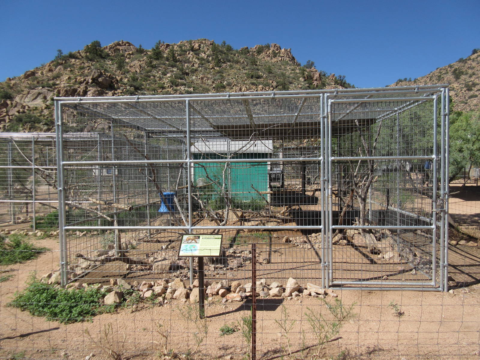 Stump-Tailed Macaque Exhibit