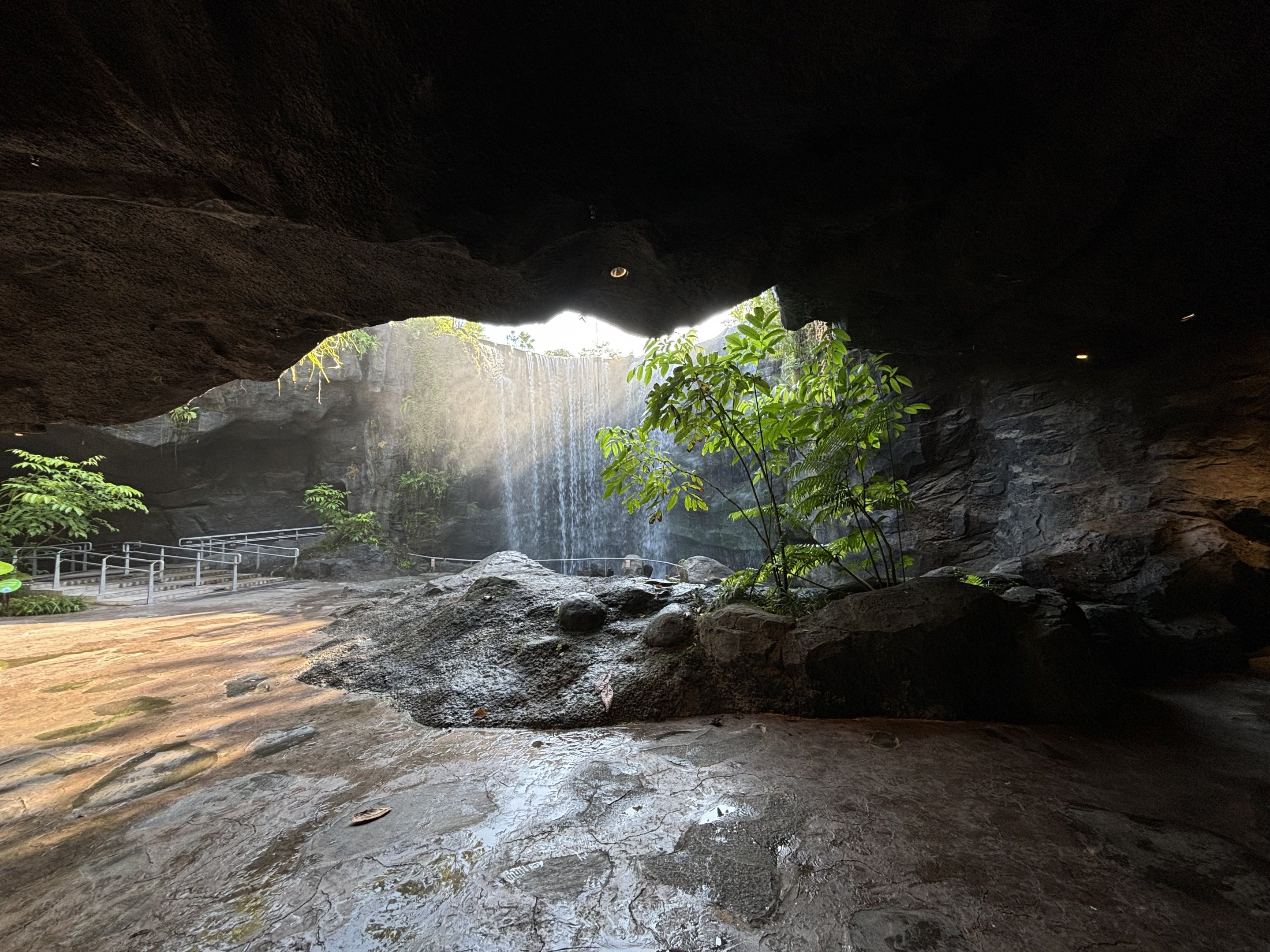 Stunning Cave + Waterfall Entrance Zone
