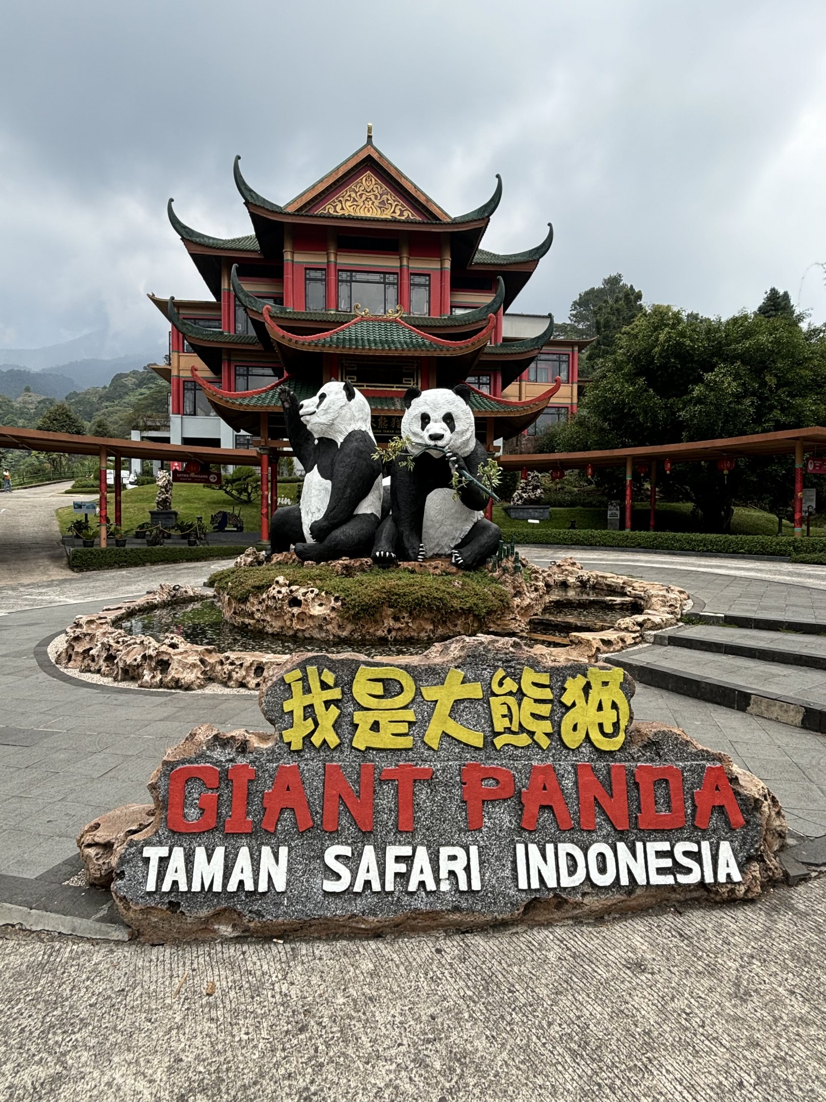 Stunning! - Giant Panda Complex