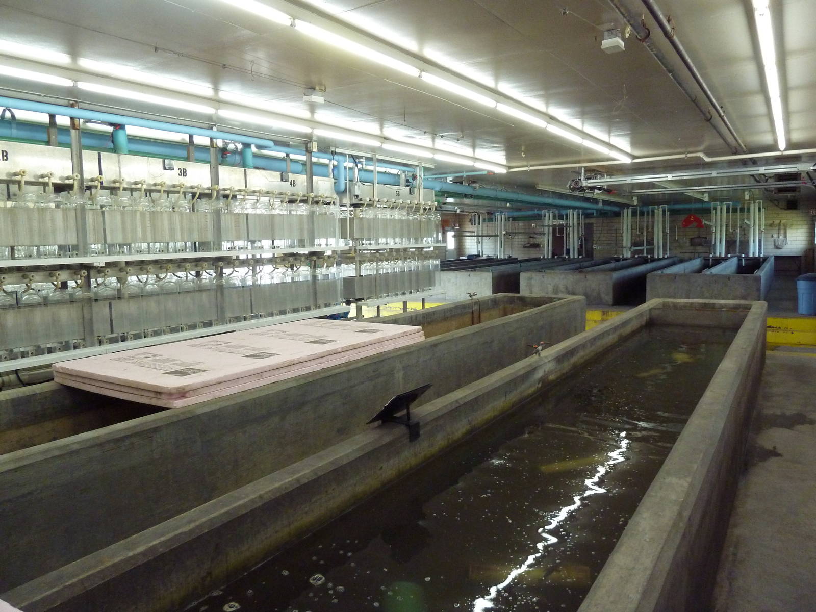 Sturgeon Building - Interior