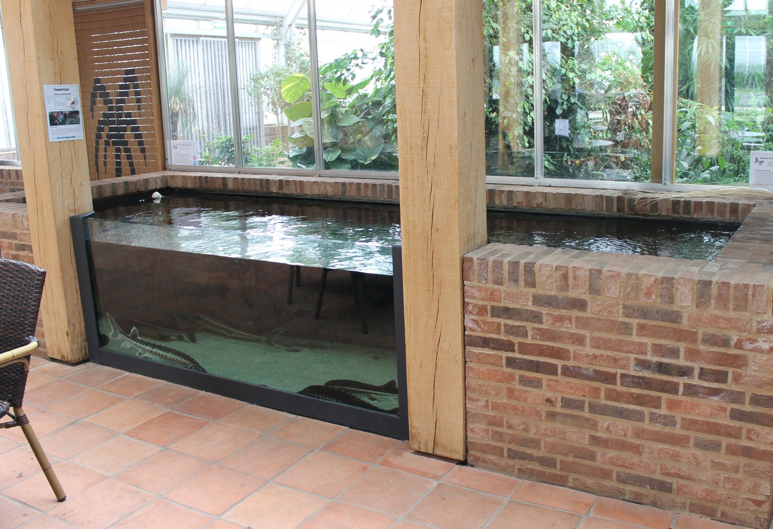 Sturgeon-enclosure - in the Restaurant