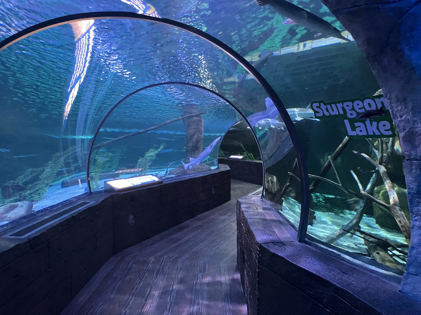 Sturgeon Lake Tunnel