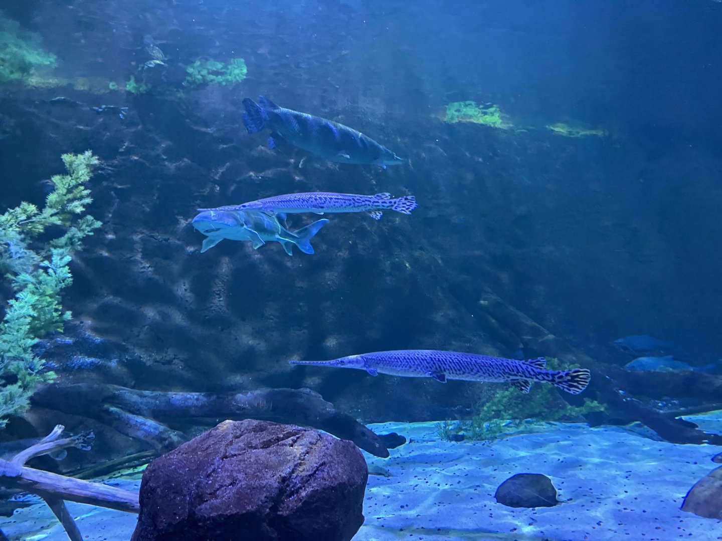 Sturgeon Lake Tunnel