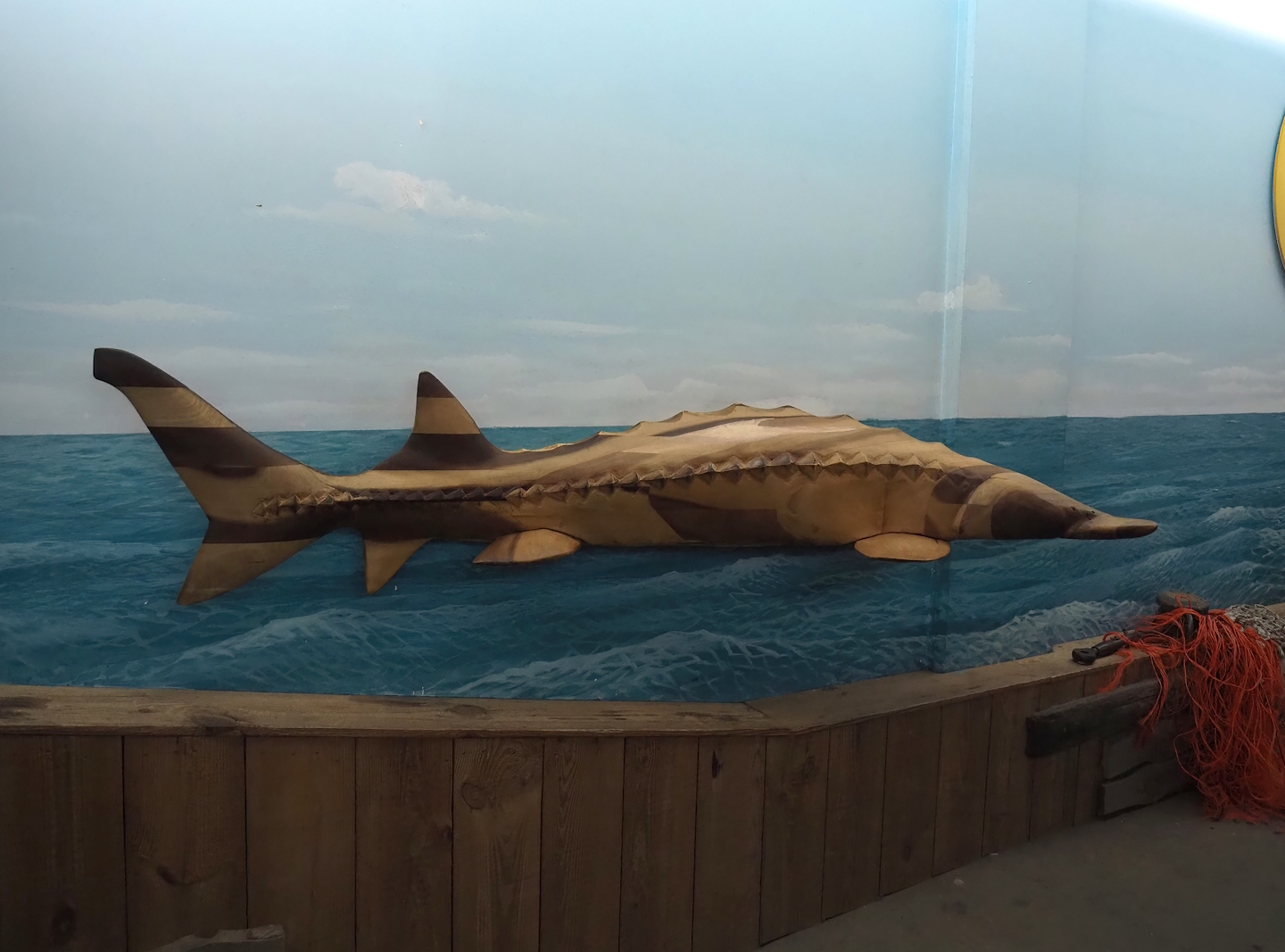 Sturgeon model, 2024-06-30