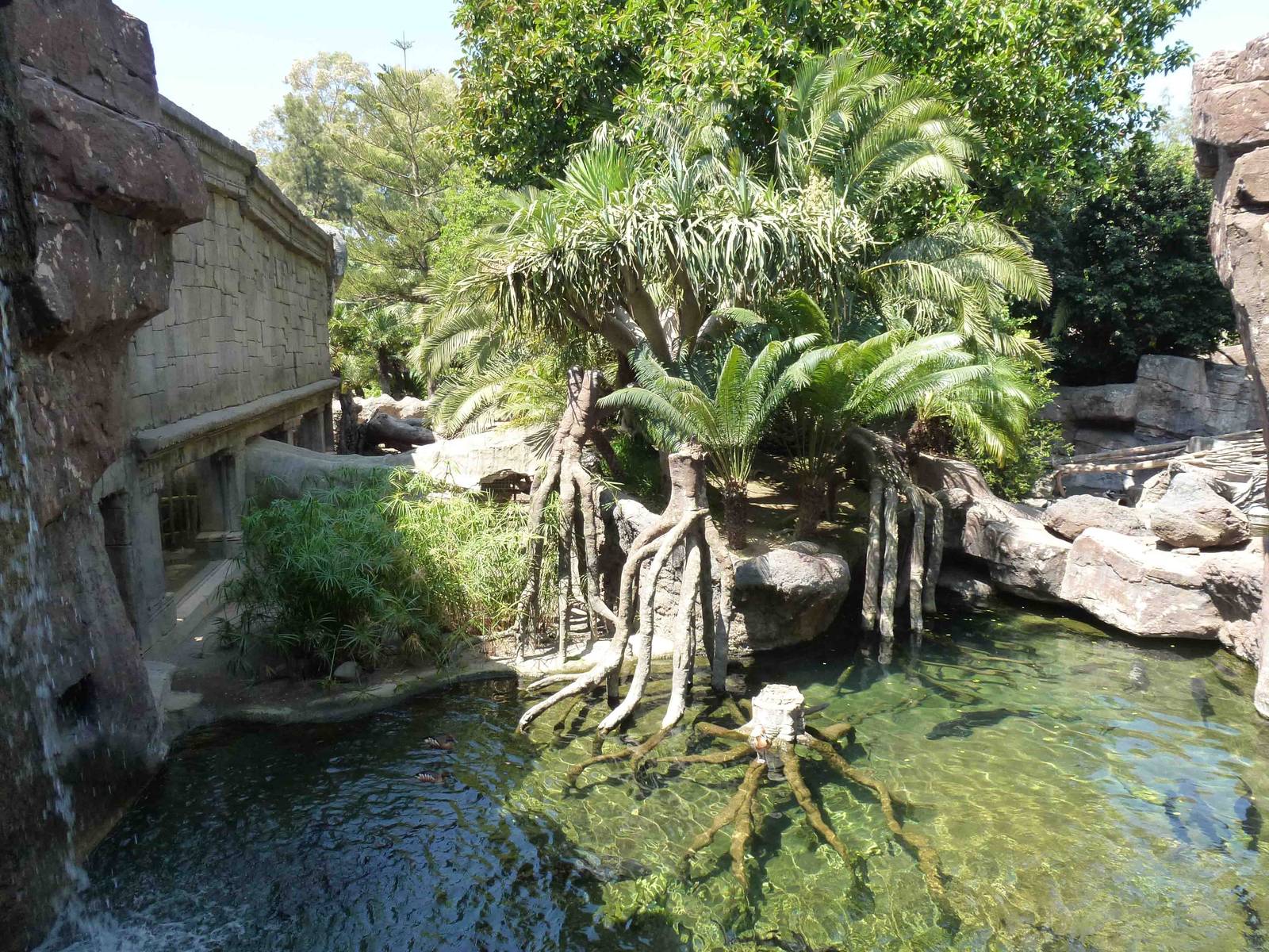 Sturgeon pool with Asian animal enclosures, July 2013.