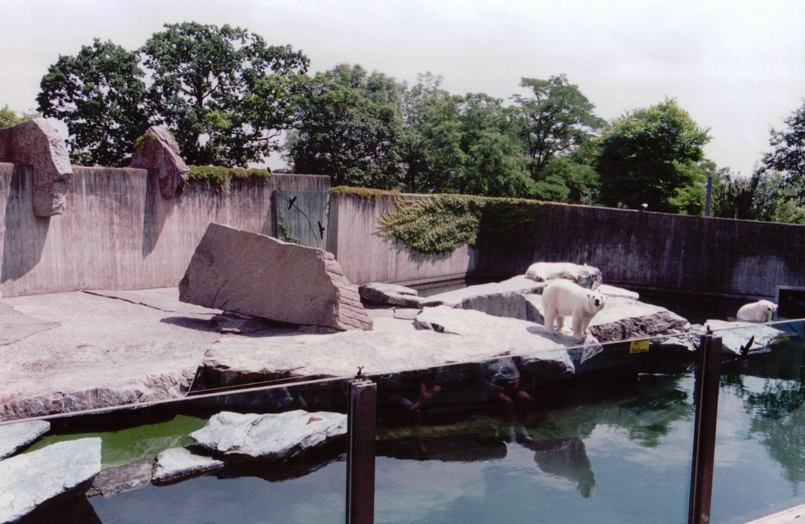 Stuttgart 1999 - Main Polar Bear exhibit