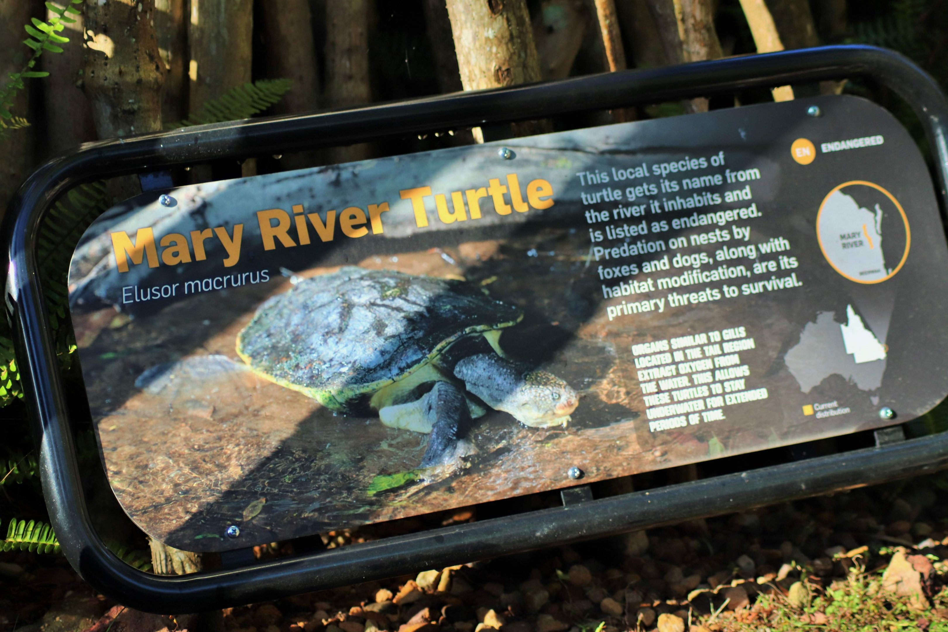 Style of New Signage